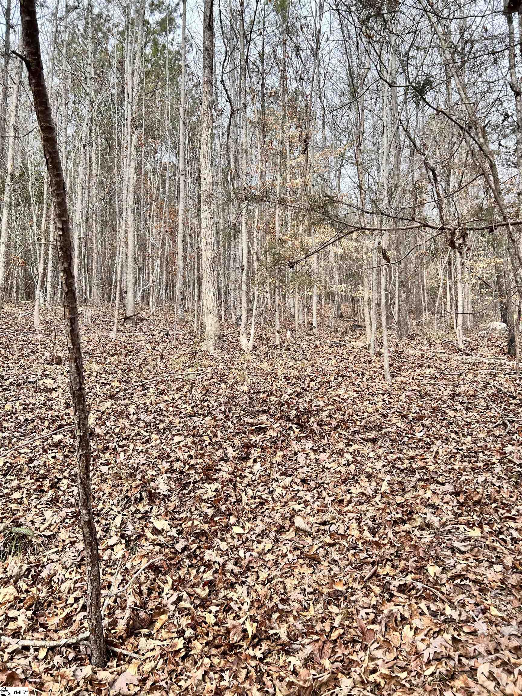 509 Crowe Creek Road Property Photo 3