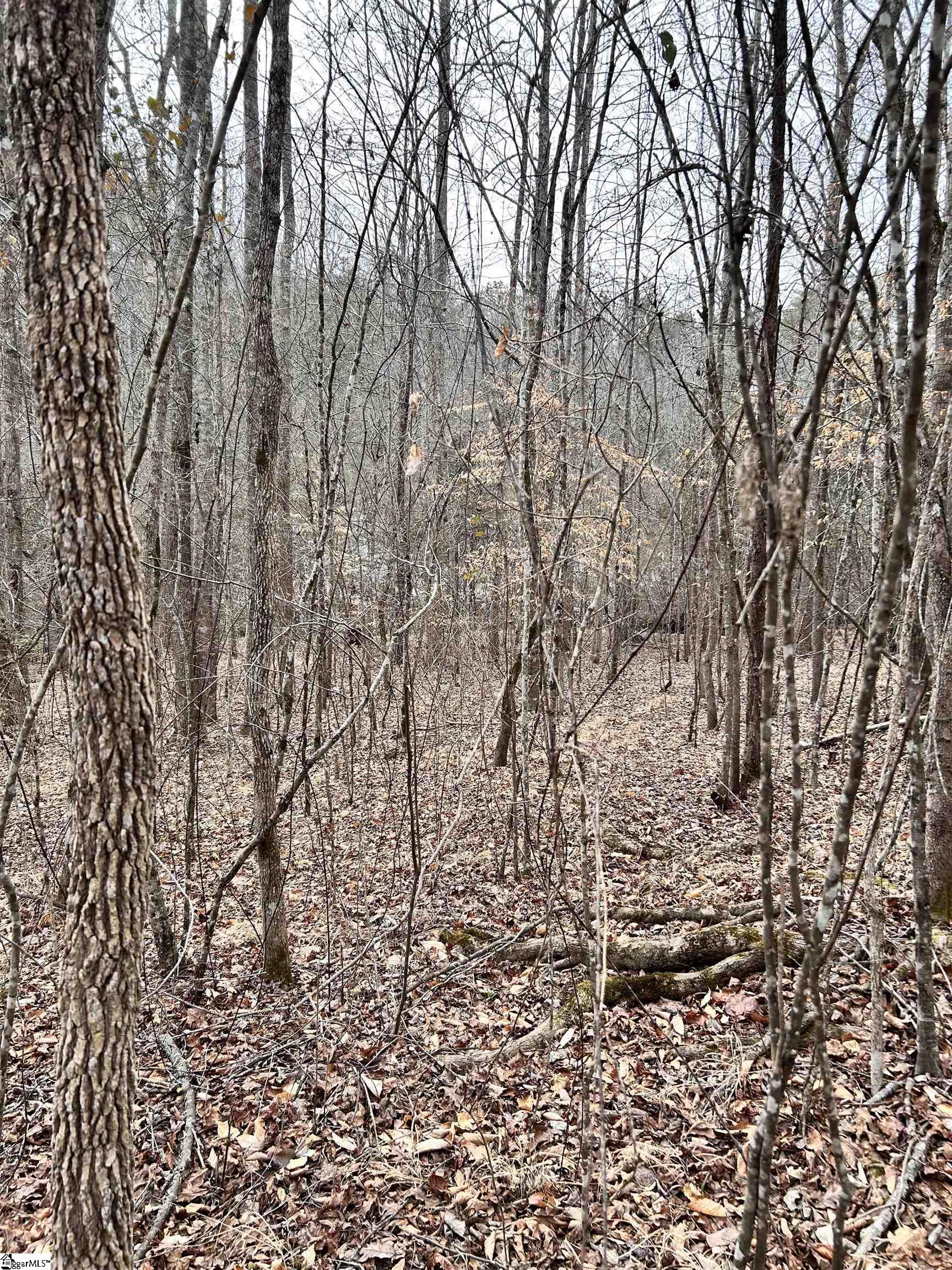 509 Crowe Creek Road Property Photo 4
