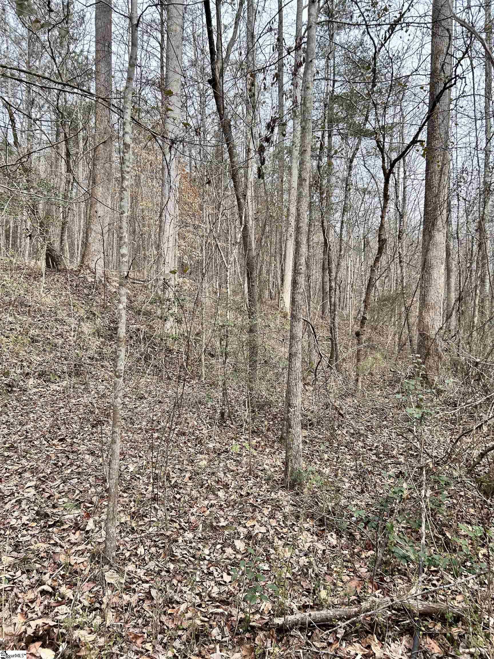 509 Crowe Creek Road Property Photo 7