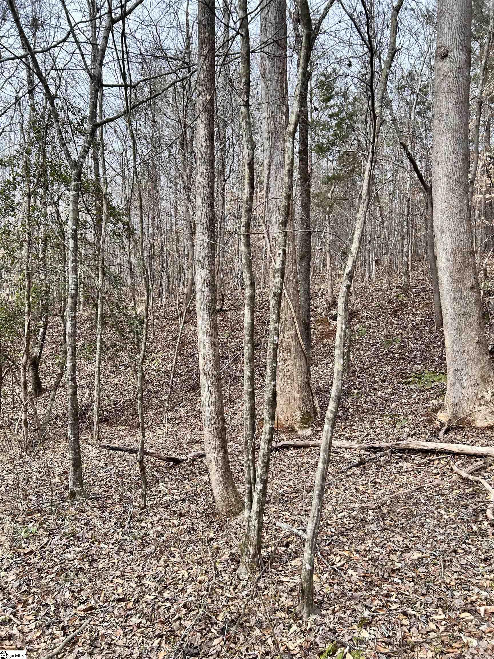 509 Crowe Creek Road Property Photo 8