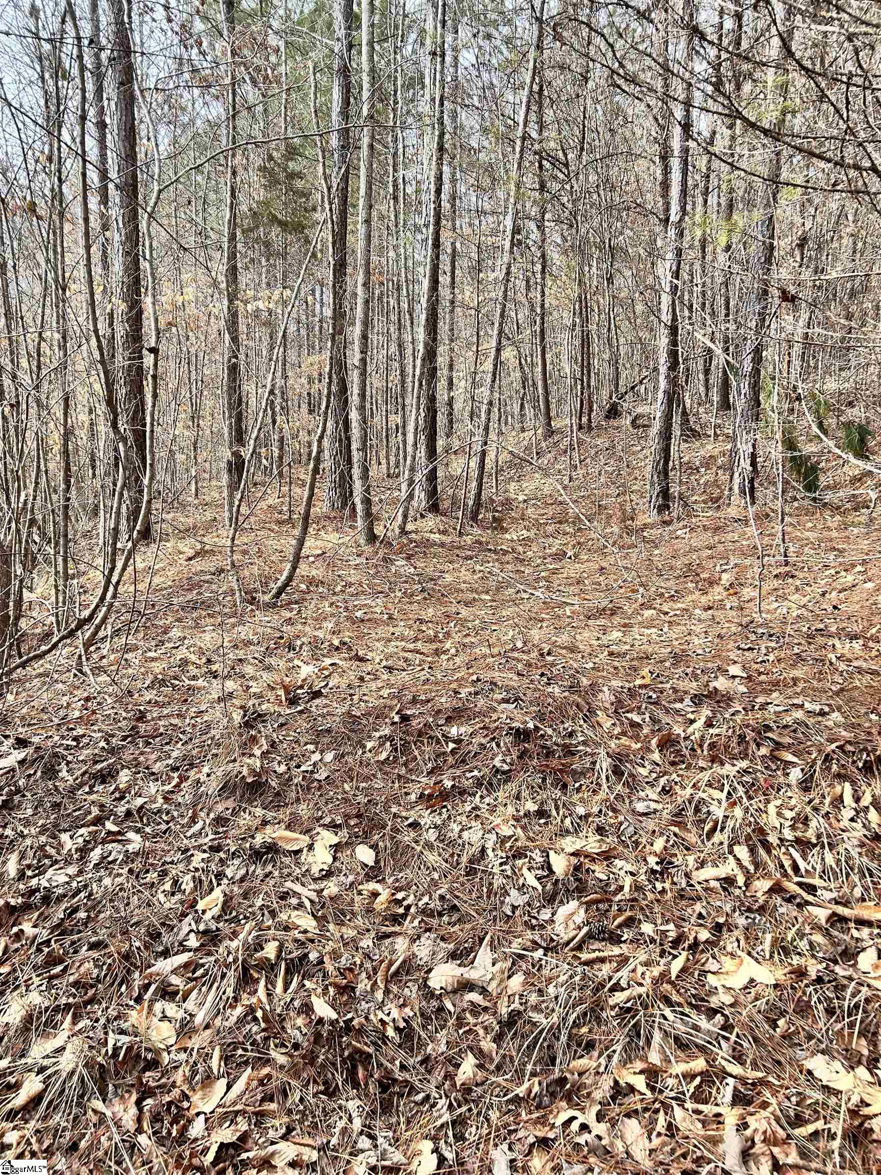 509 Crowe Creek Road Property Photo 12