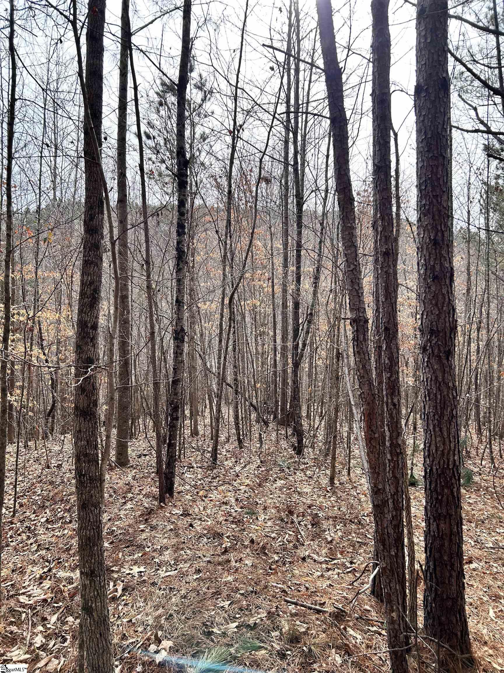 509 Crowe Creek Road Property Photo 13