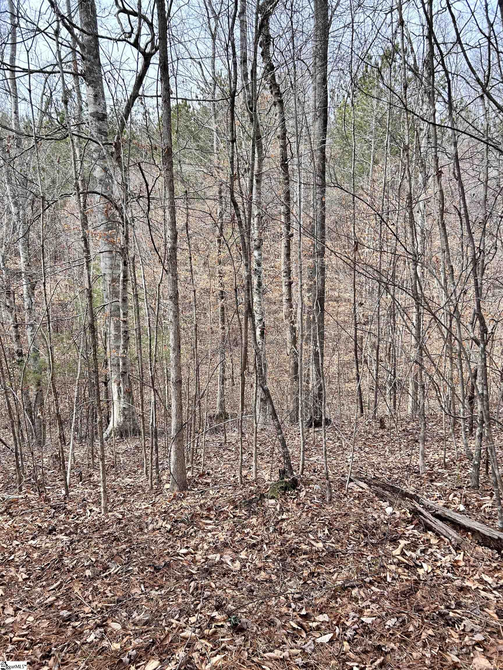 509 Crowe Creek Road Property Photo 14