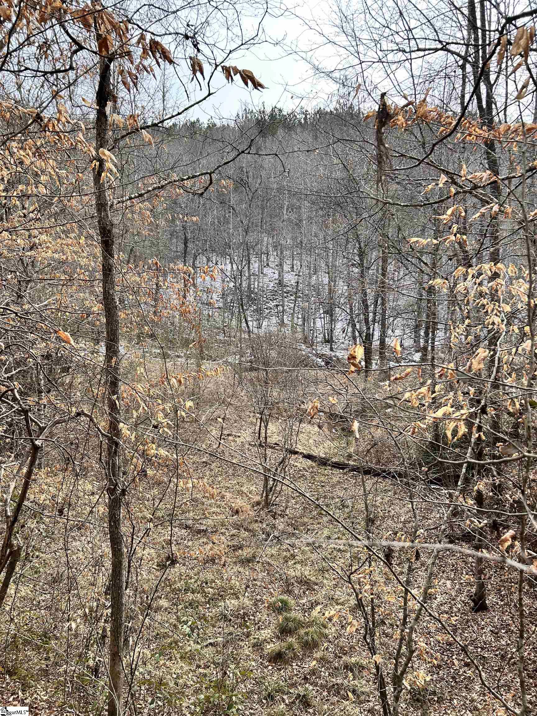 509 Crowe Creek Road Property Photo 15
