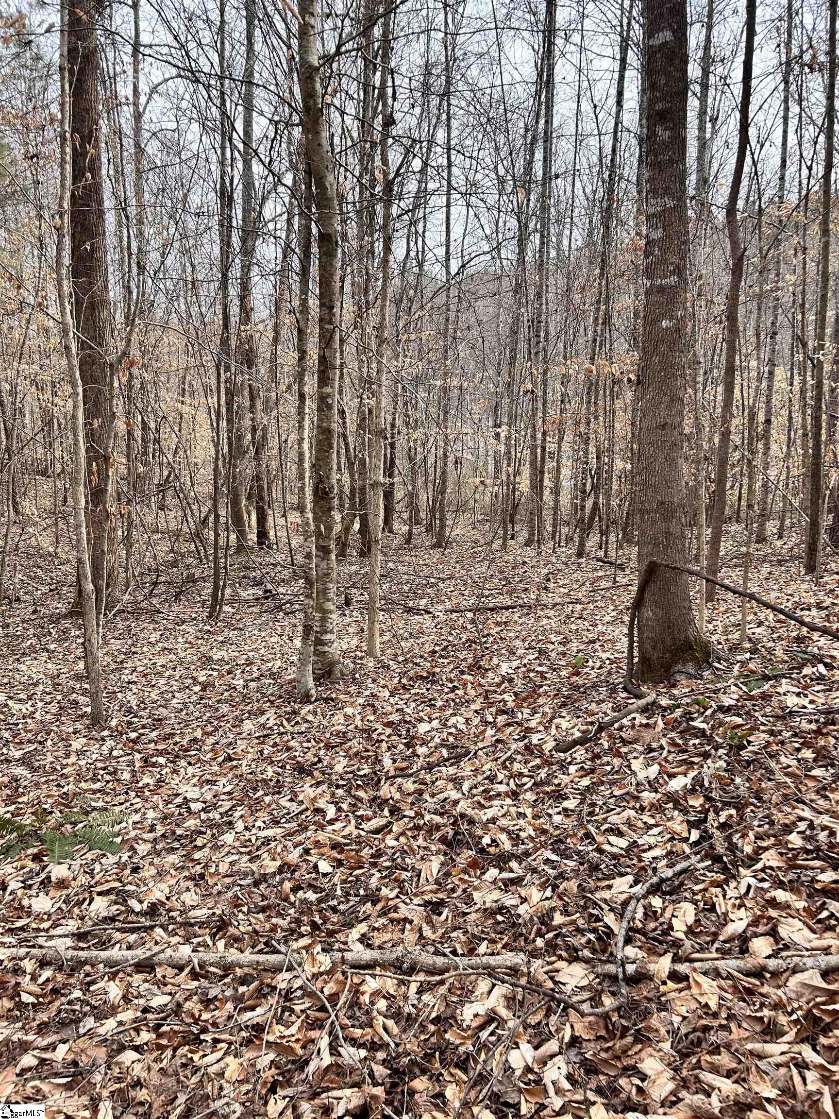 509 Crowe Creek Road Property Photo 16