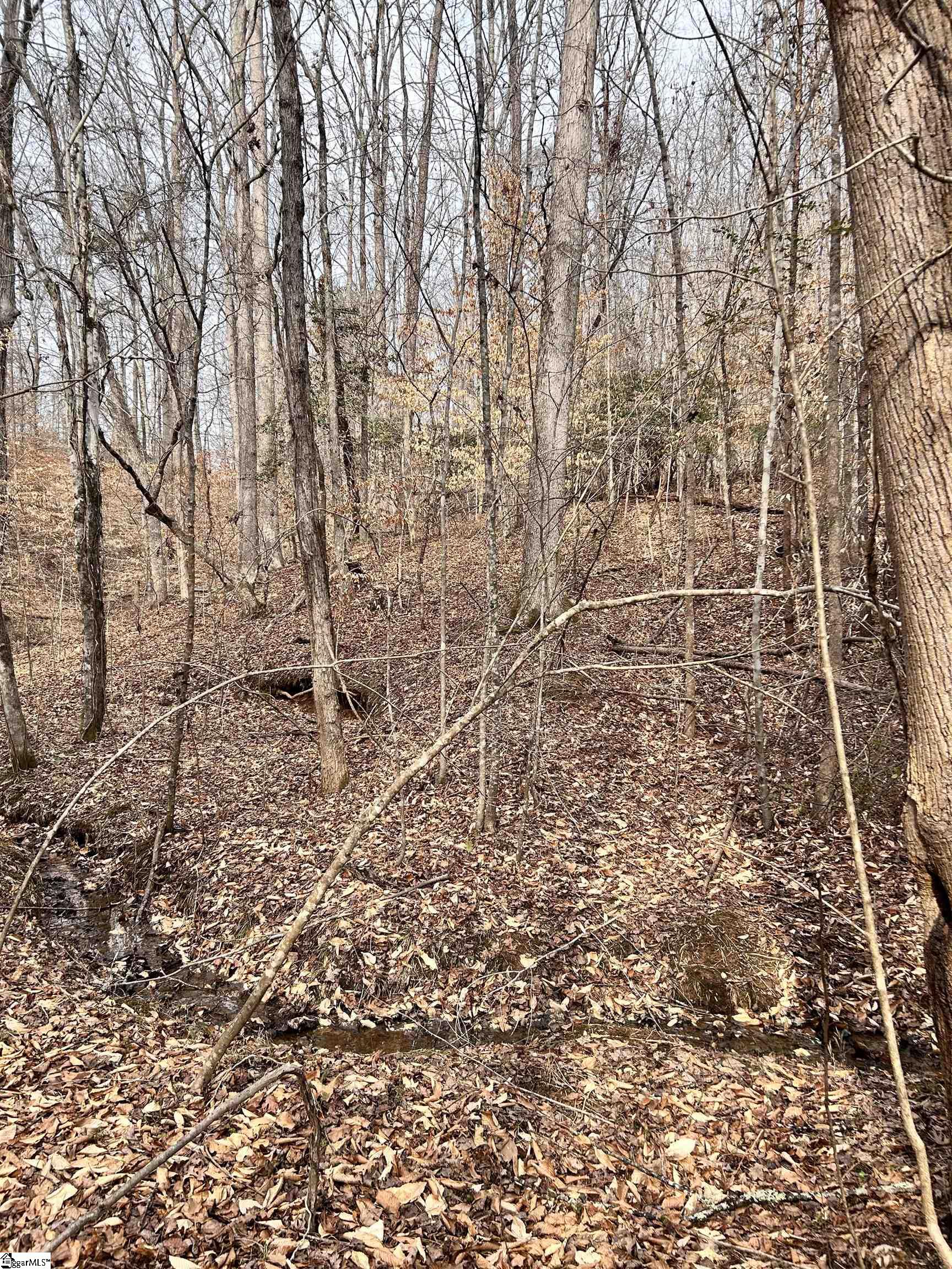 509 Crowe Creek Road Property Photo 17
