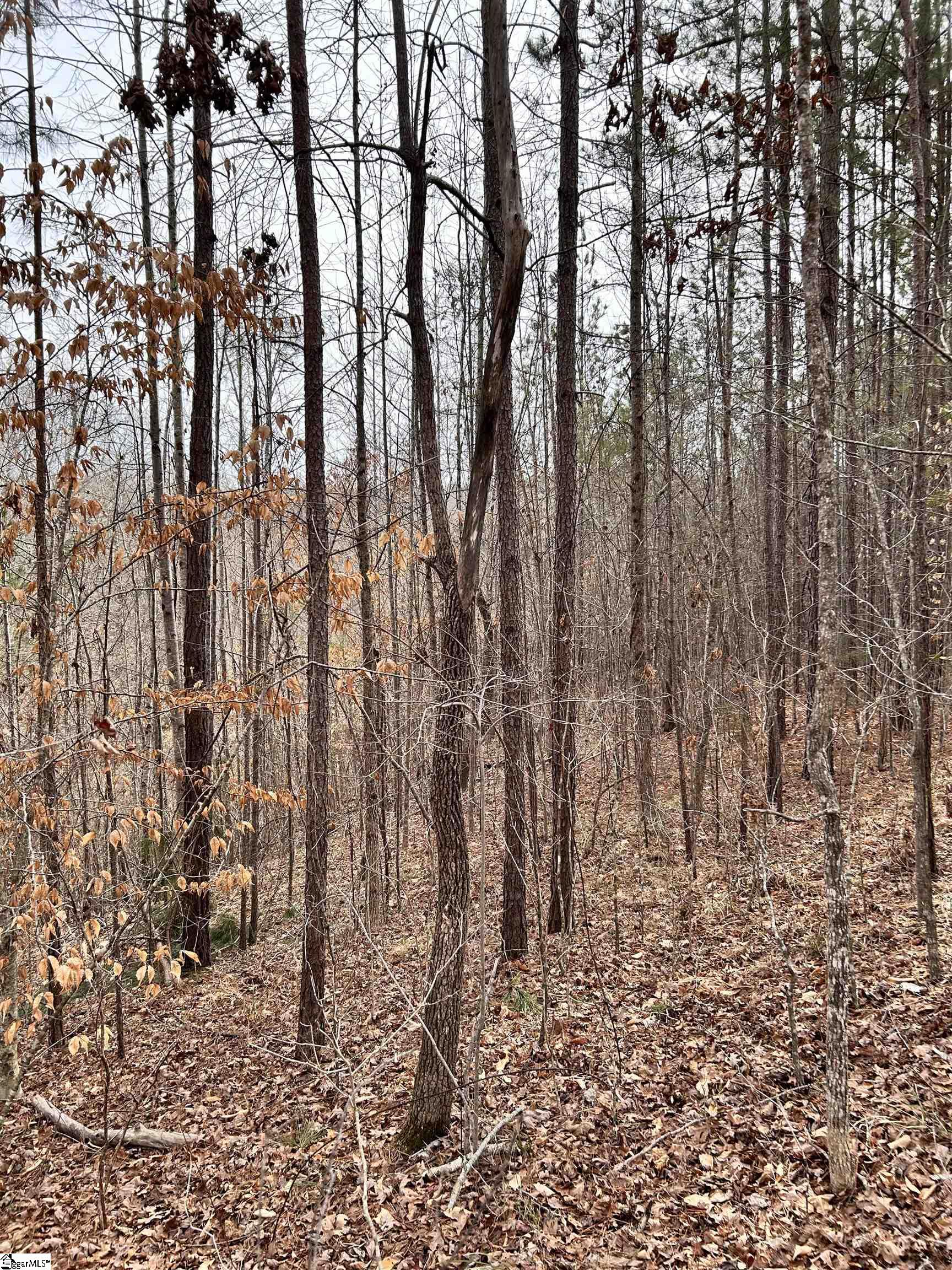 509 Crowe Creek Road Property Photo 18