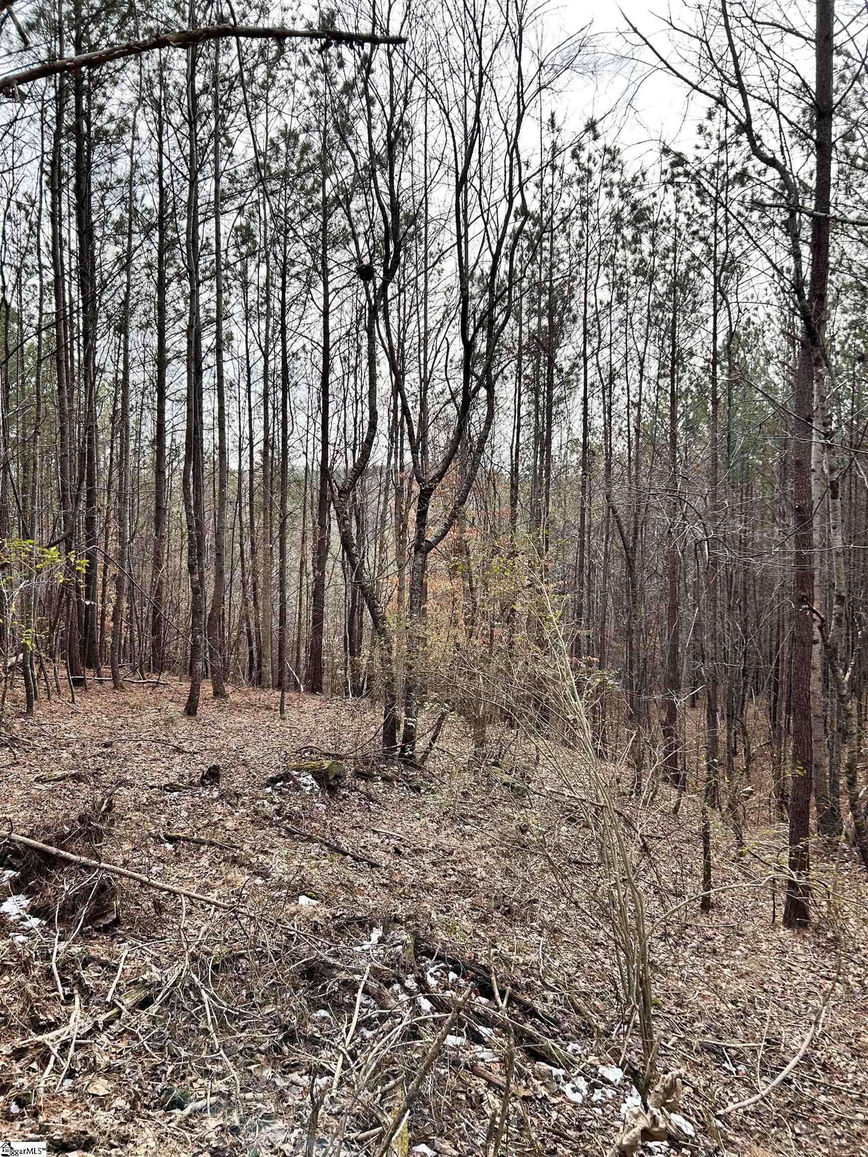 509 Crowe Creek Road Property Photo 21