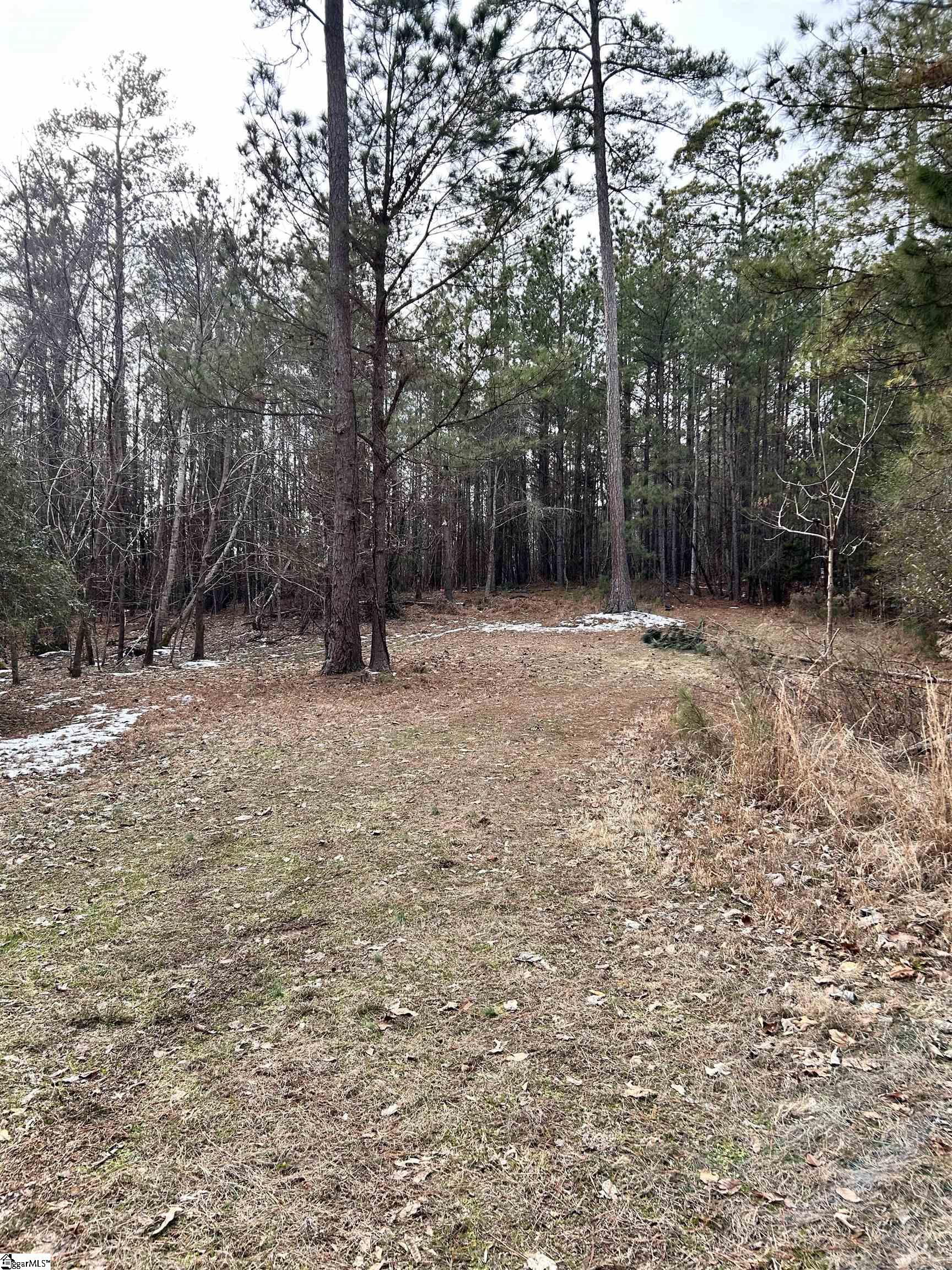 509 Crowe Creek Road Property Photo 23