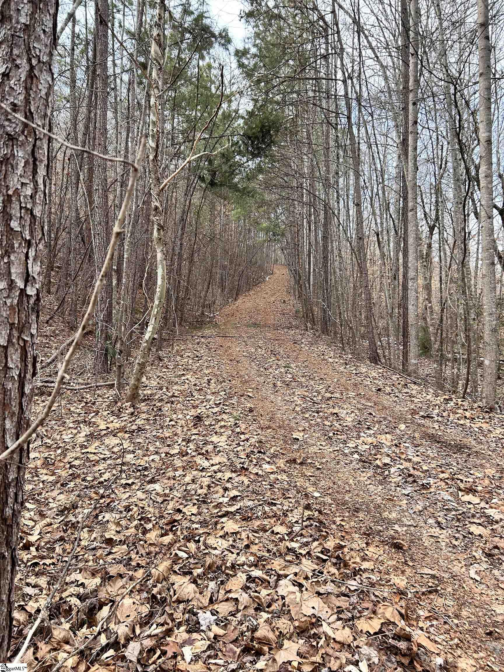 509 Crowe Creek Road Property Photo 25