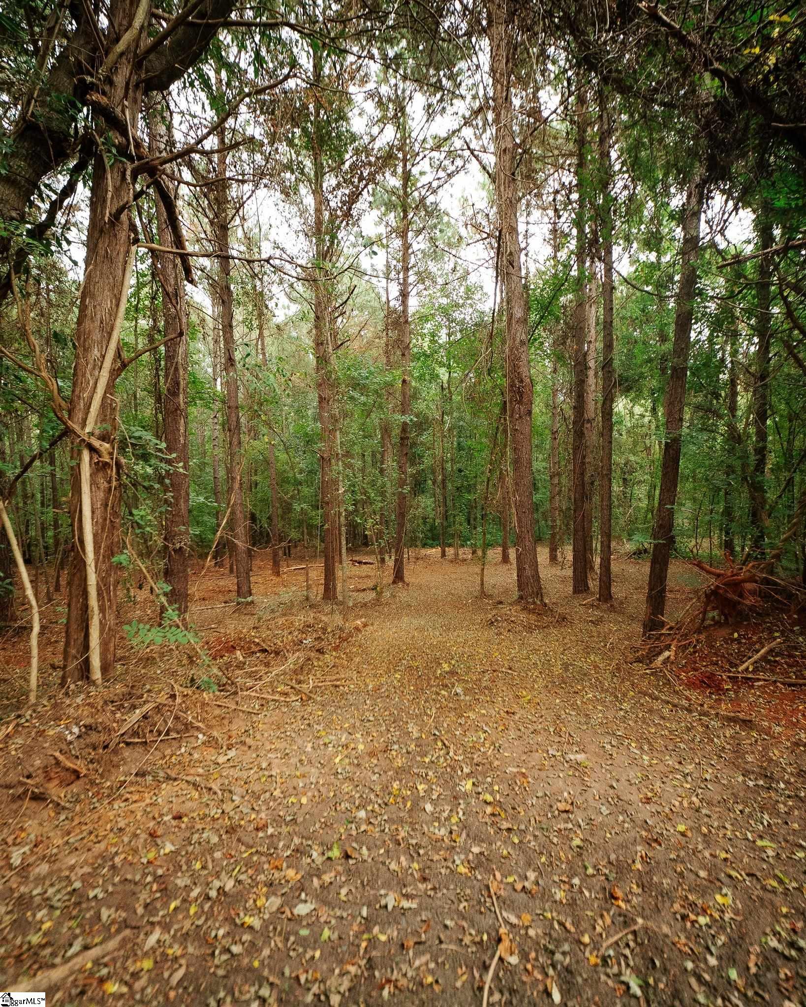 0 Gene Fleming Road Property Photo 16