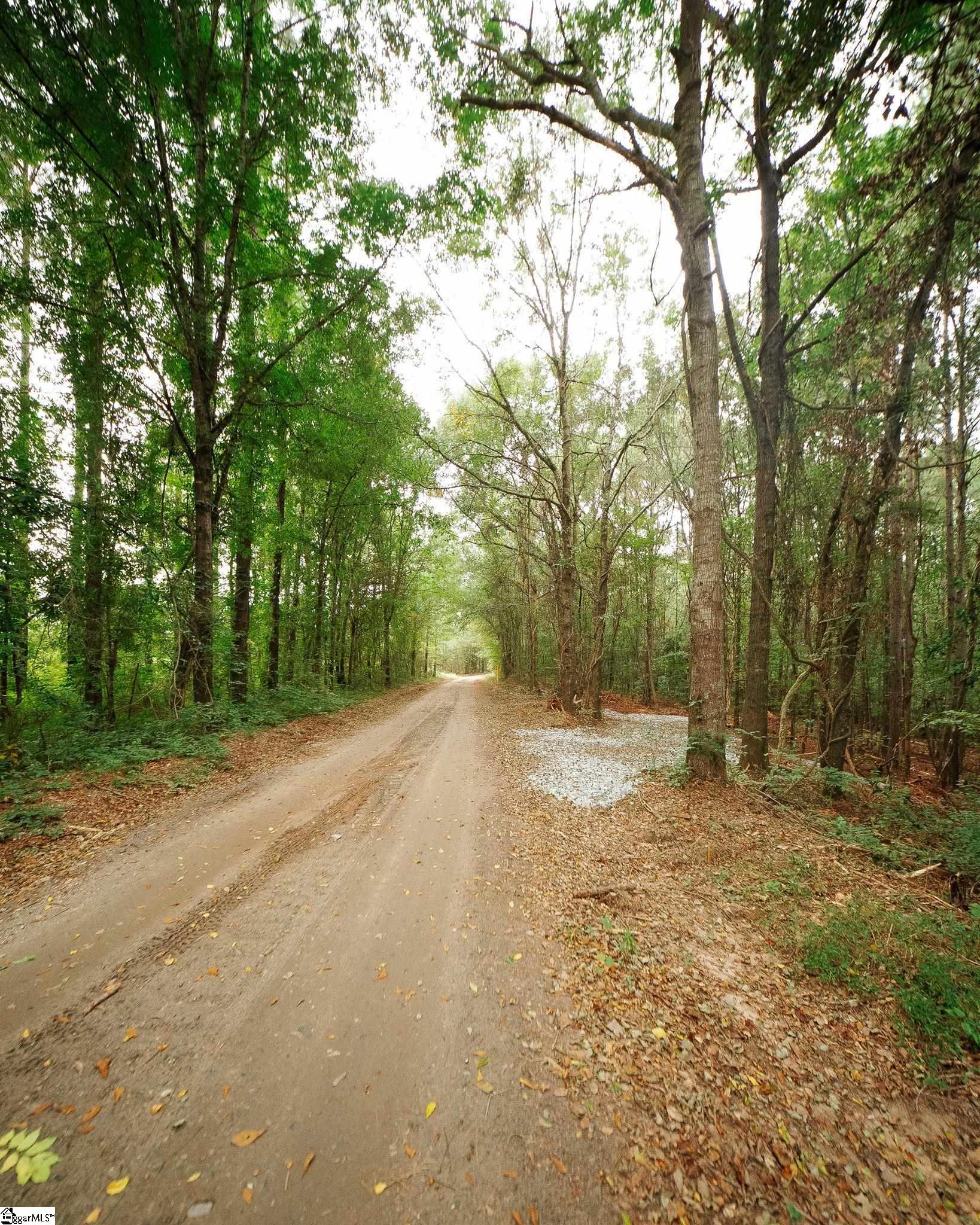 0 Gene Fleming Road Property Photo 17