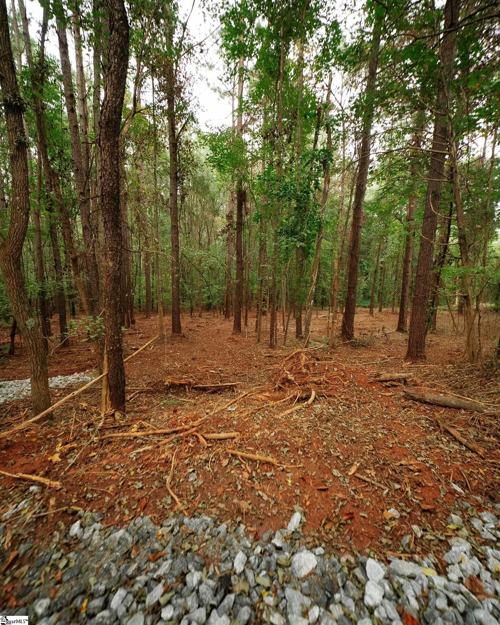 0 Gene Fleming Road Property Photo 19