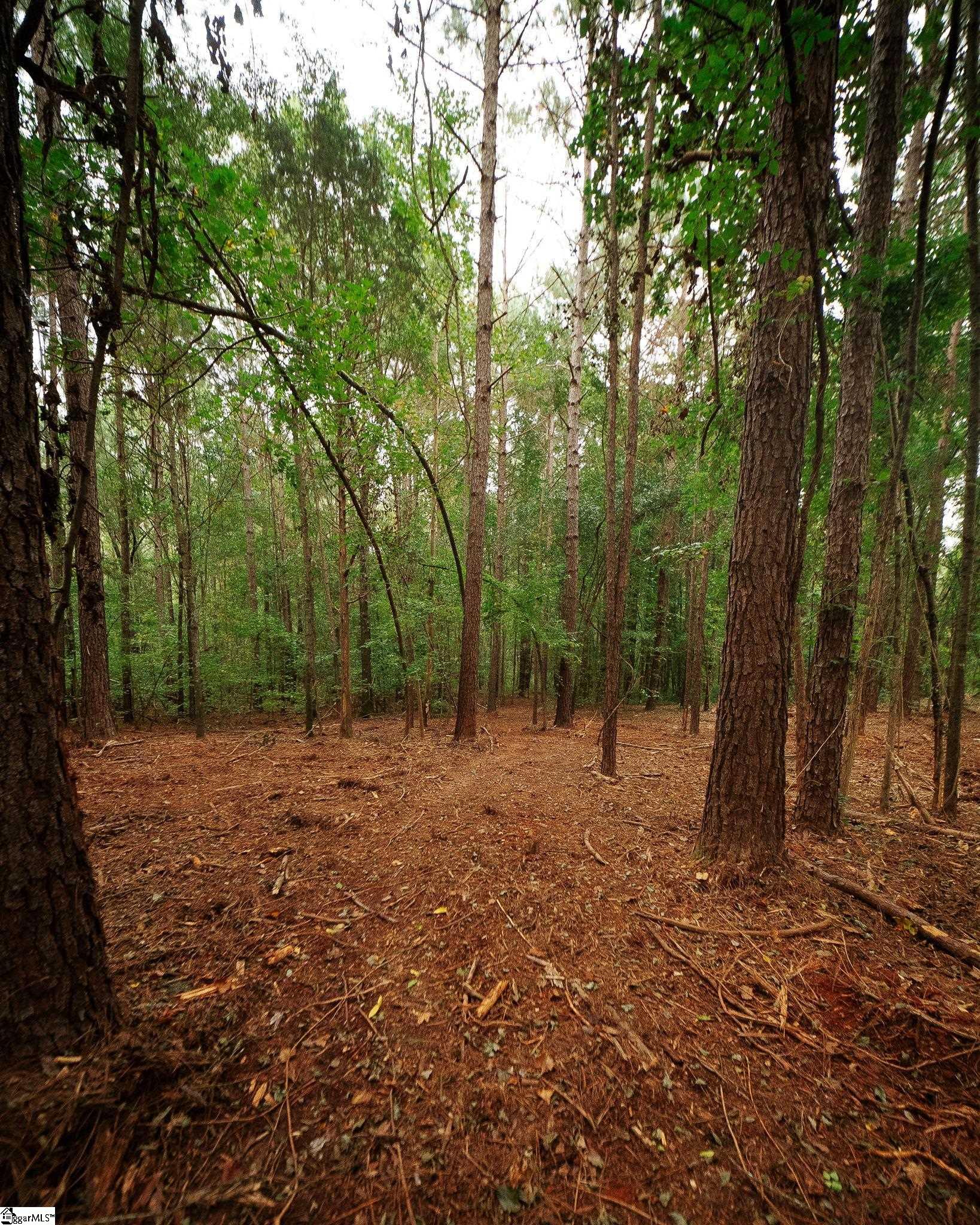 0 Gene Fleming Road Property Photo 20