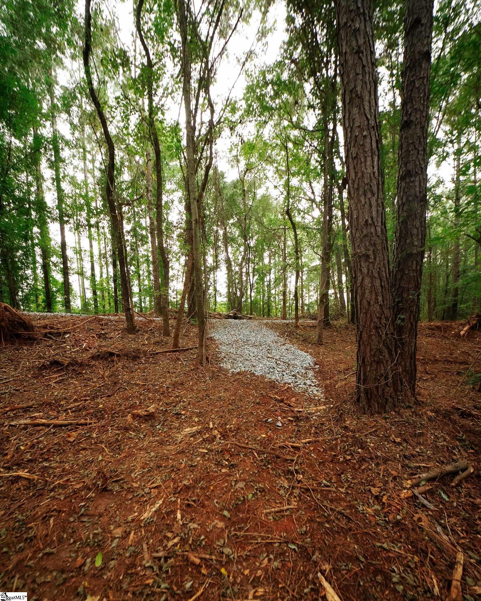 0 Gene Fleming Road Property Photo 21