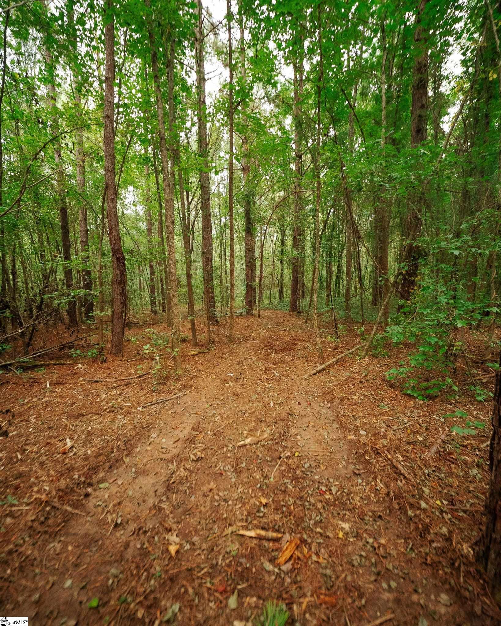 0 Gene Fleming Road Property Photo 22
