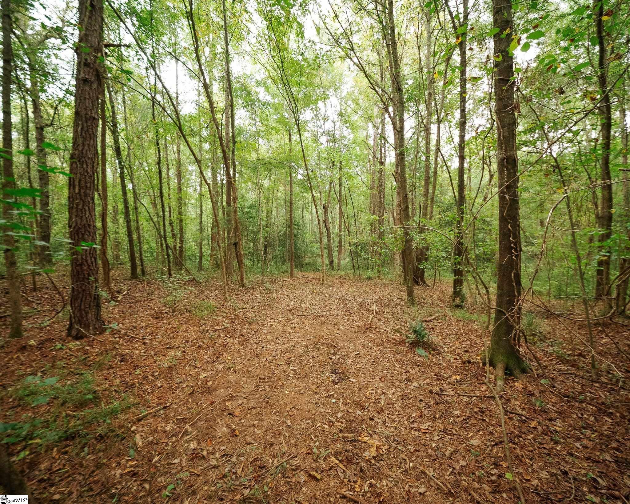 0 Gene Fleming Road Property Photo 23