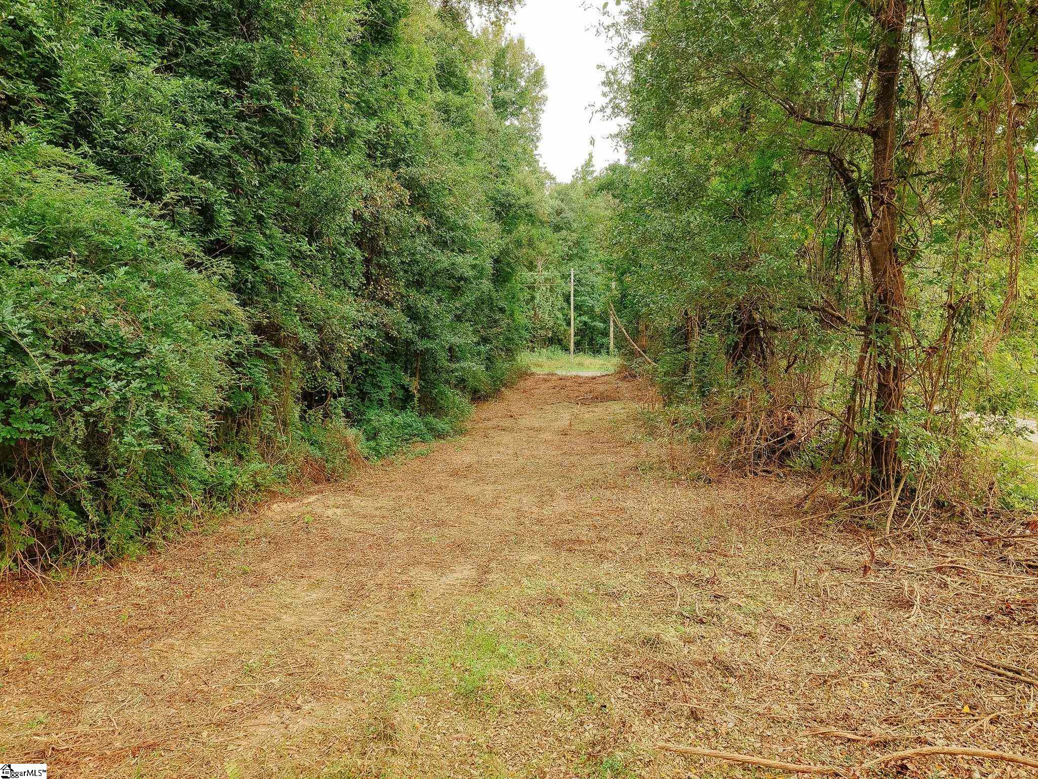 0 Gene Fleming Road Property Photo 28