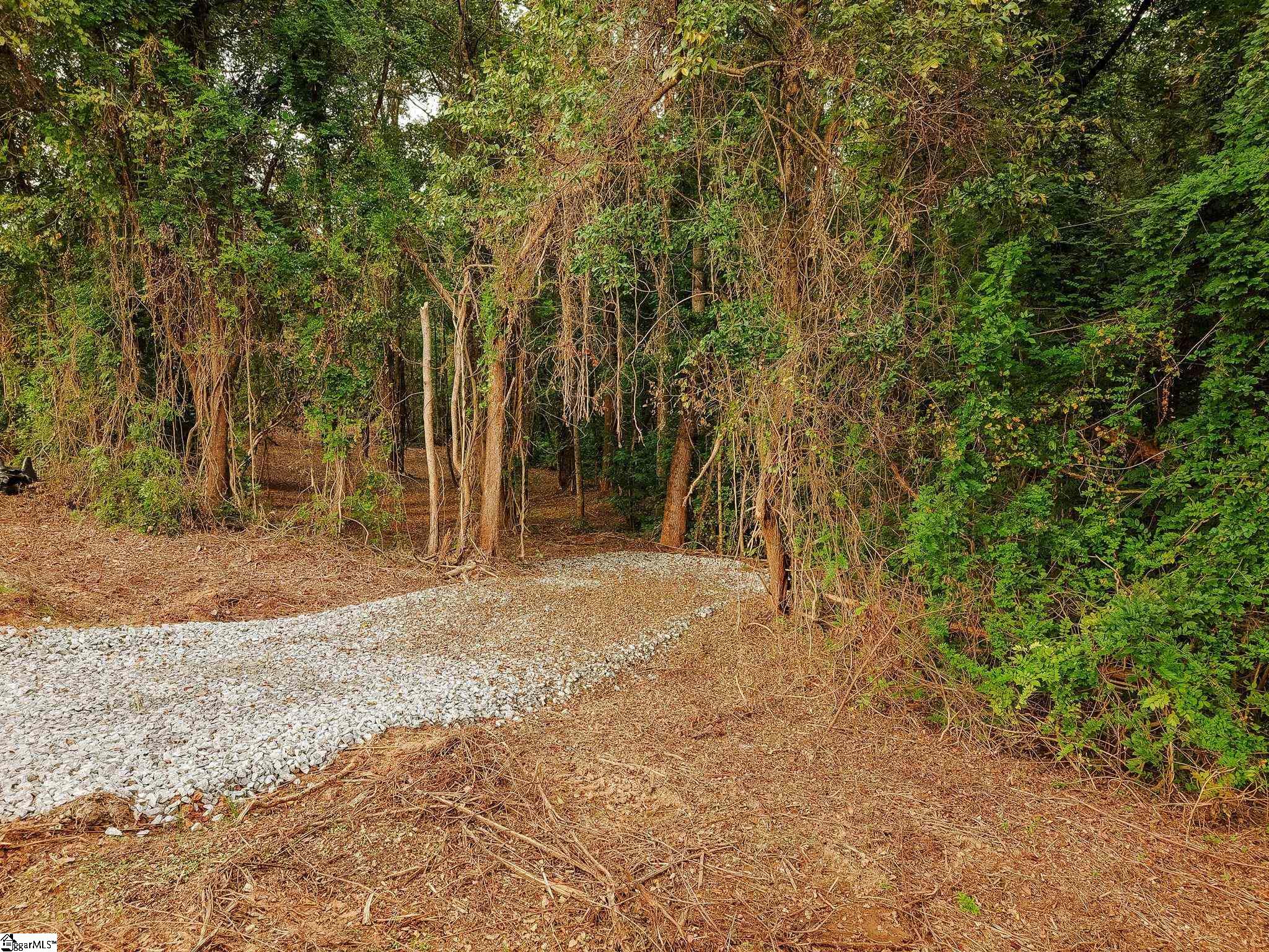 0 Gene Fleming Road Property Photo 29