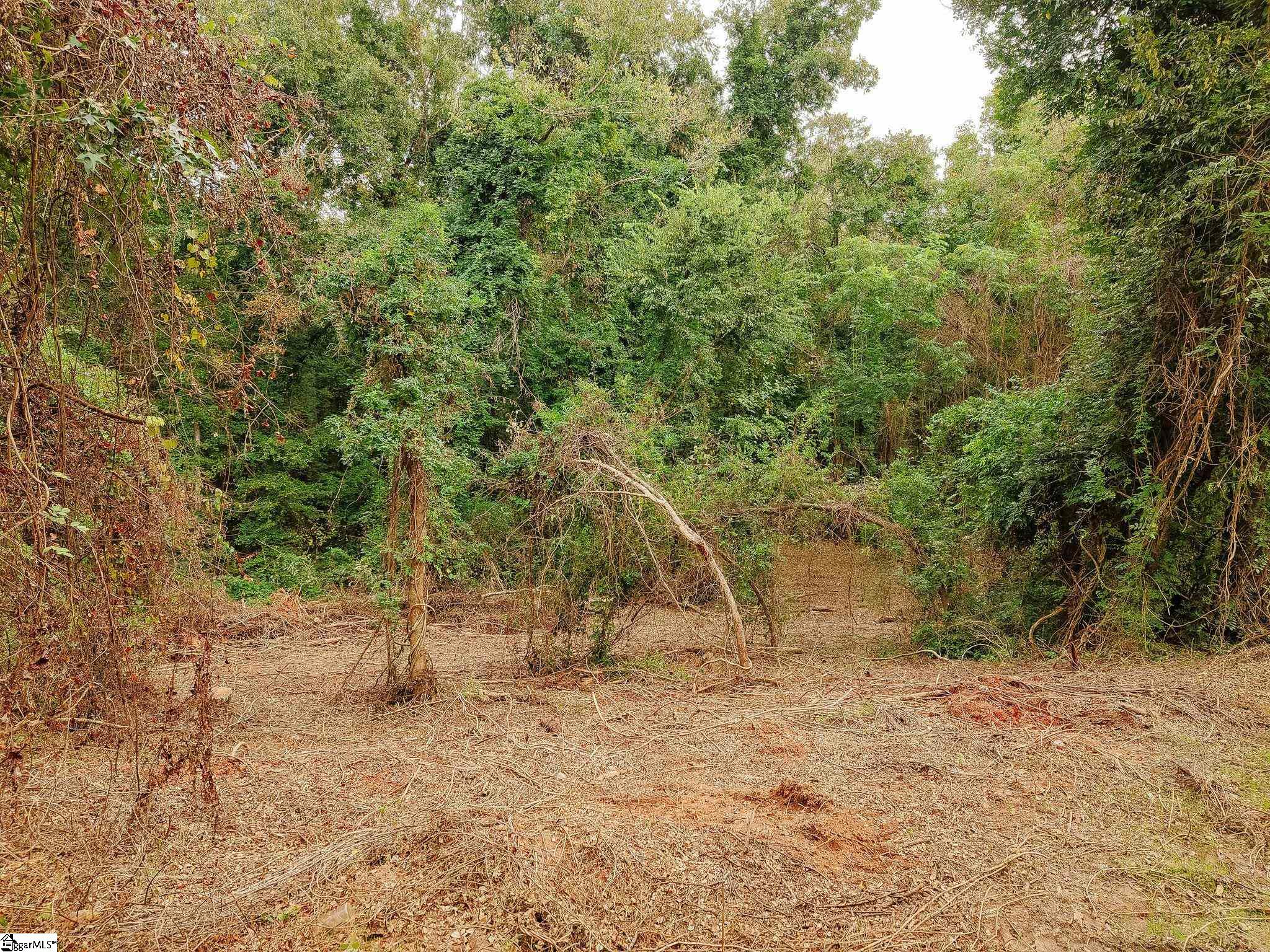 0 Gene Fleming Road Property Photo 30