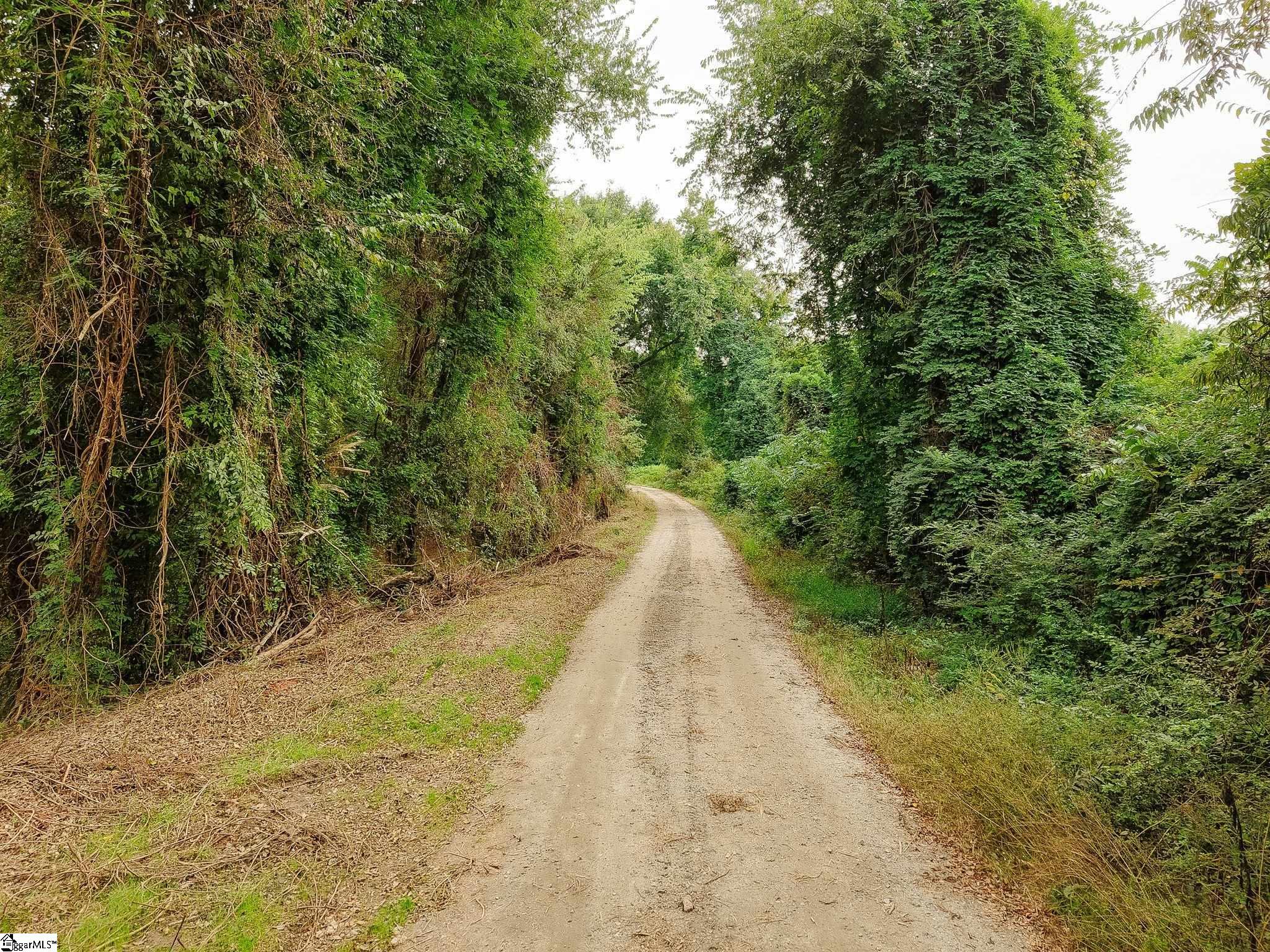 0 Gene Fleming Road Property Photo 31