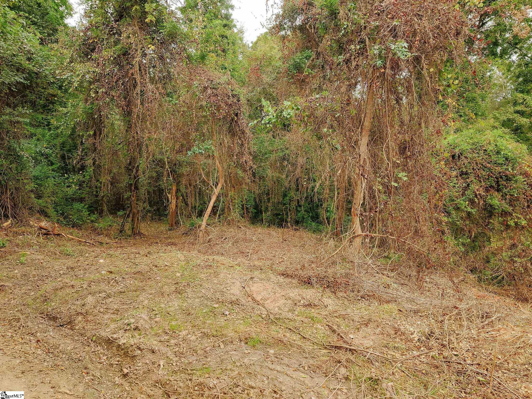 0 Gene Fleming Road Property Photo 32