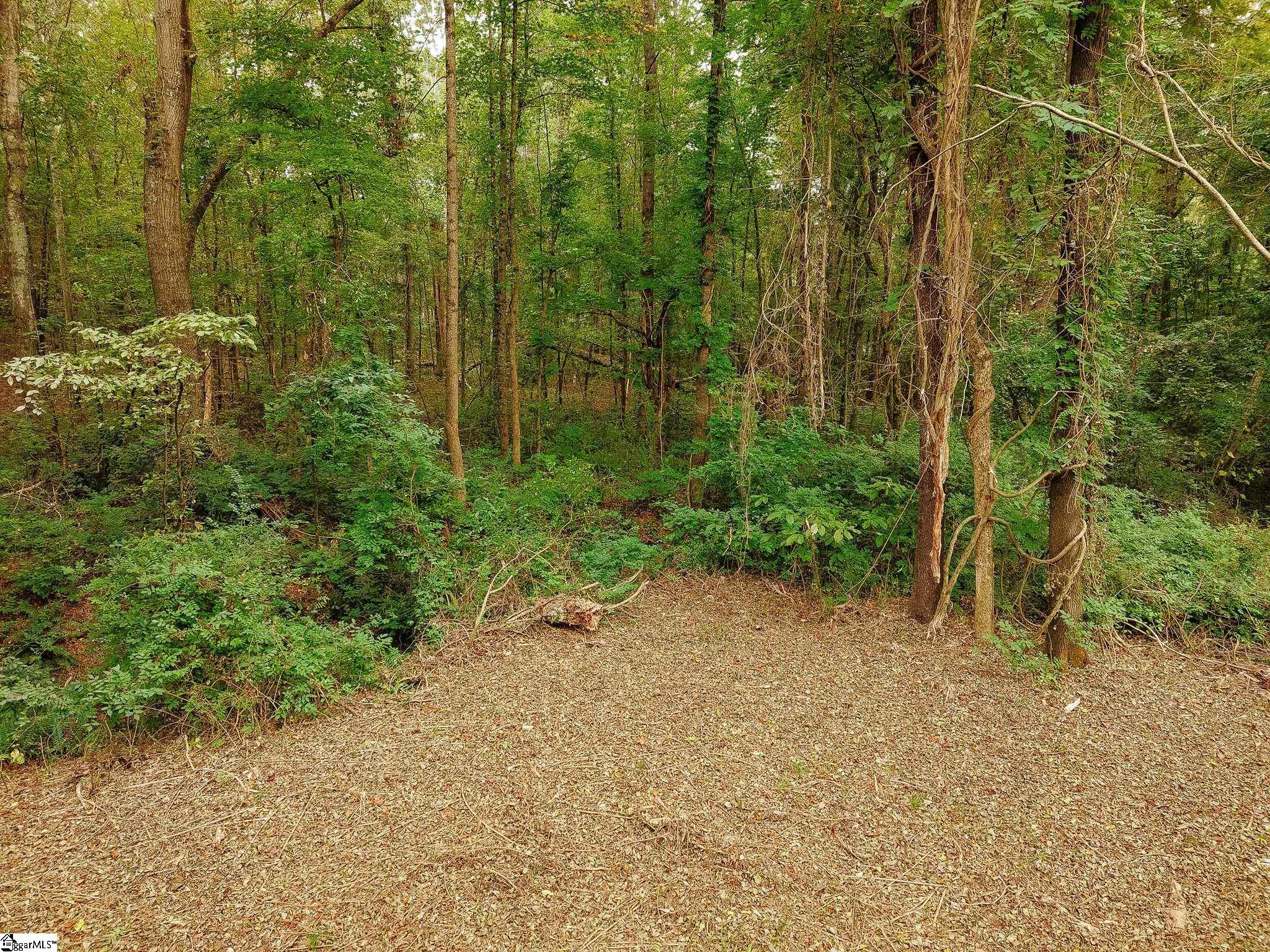 0 Gene Fleming Road Property Photo 33