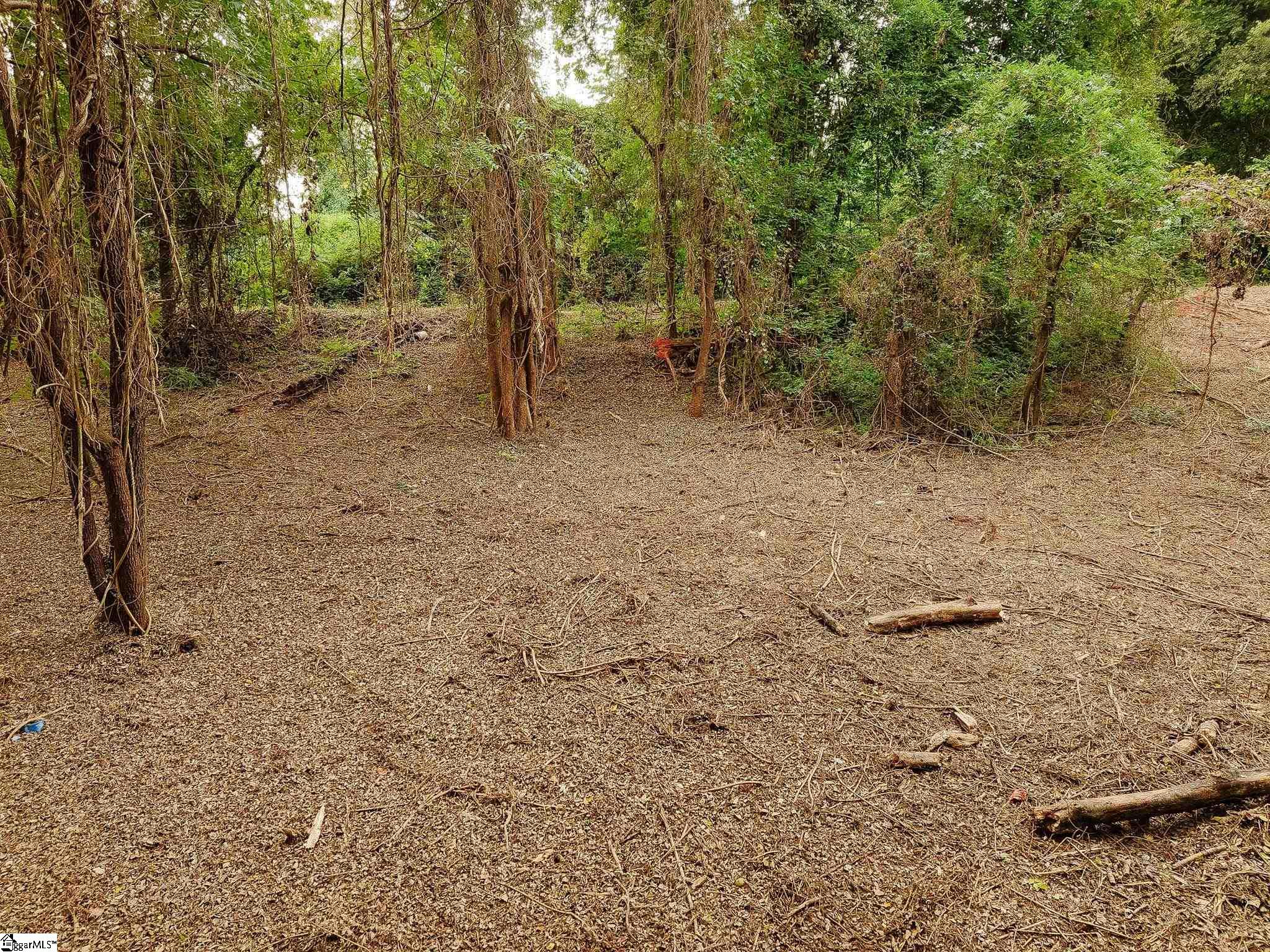 0 Gene Fleming Road Property Photo 34
