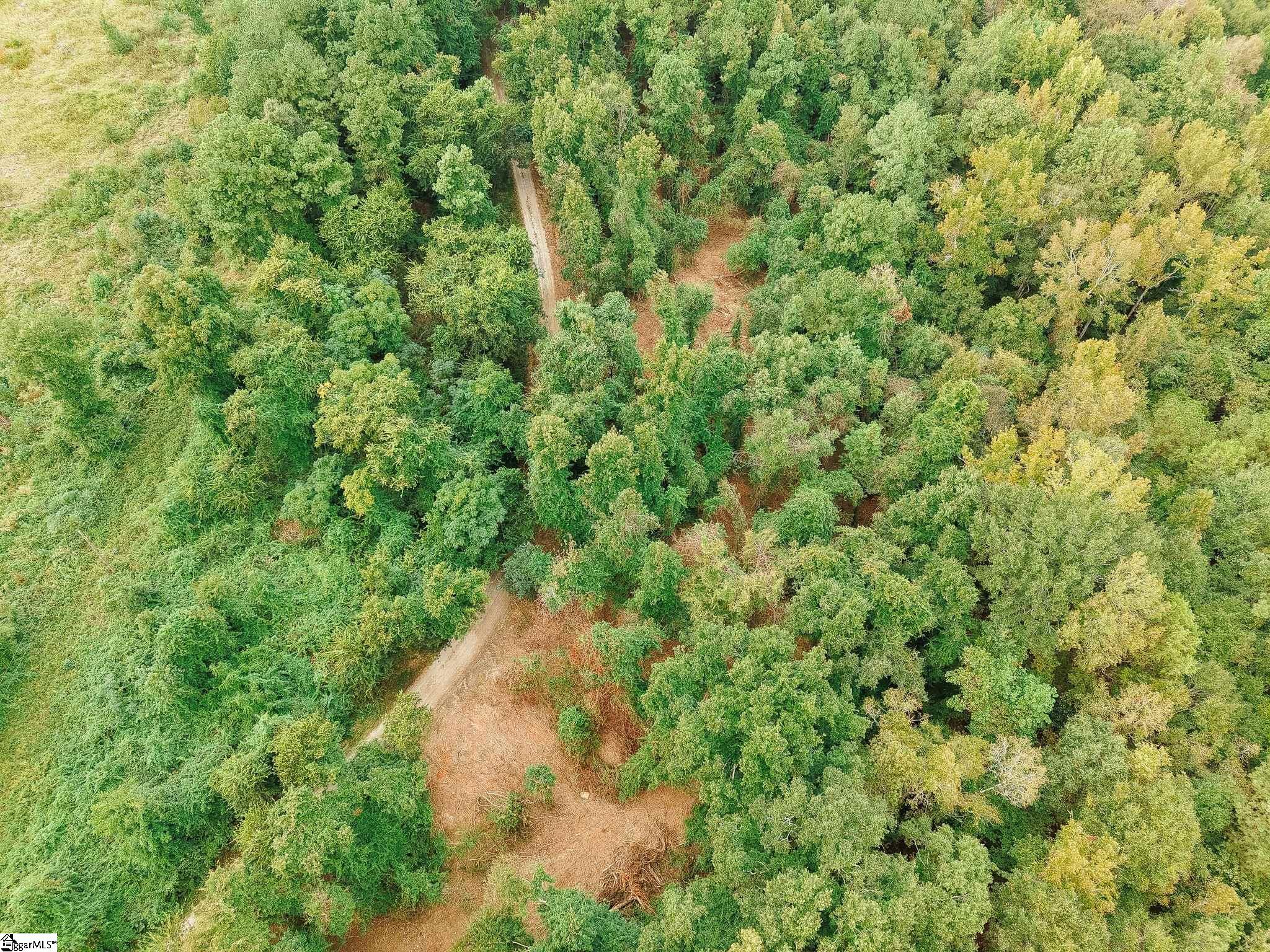 0 Gene Fleming Road Property Photo 48