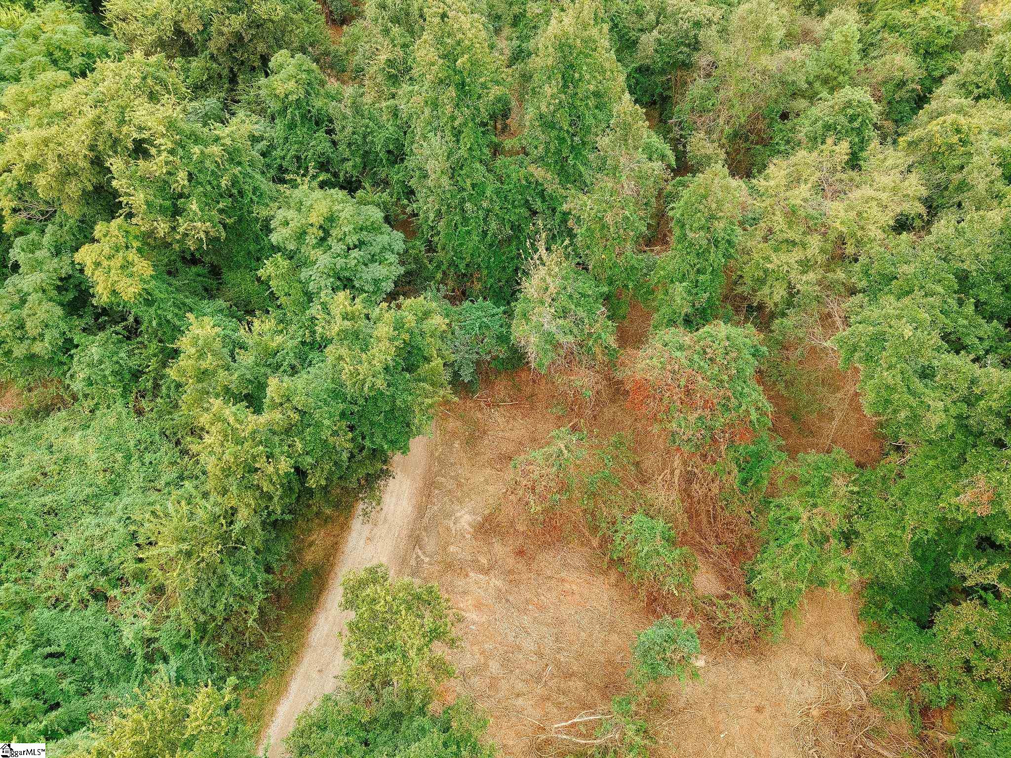0 Gene Fleming Road Property Photo 49