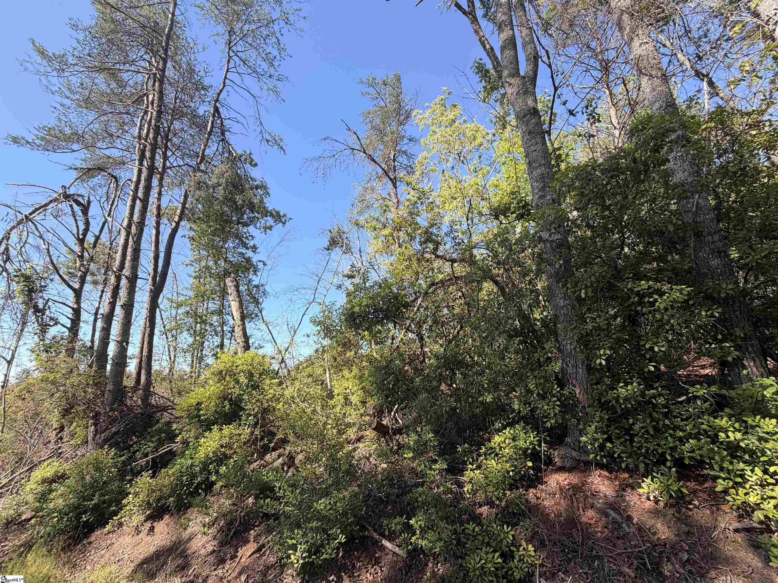 309 Knox Creek Road Property Photo 4