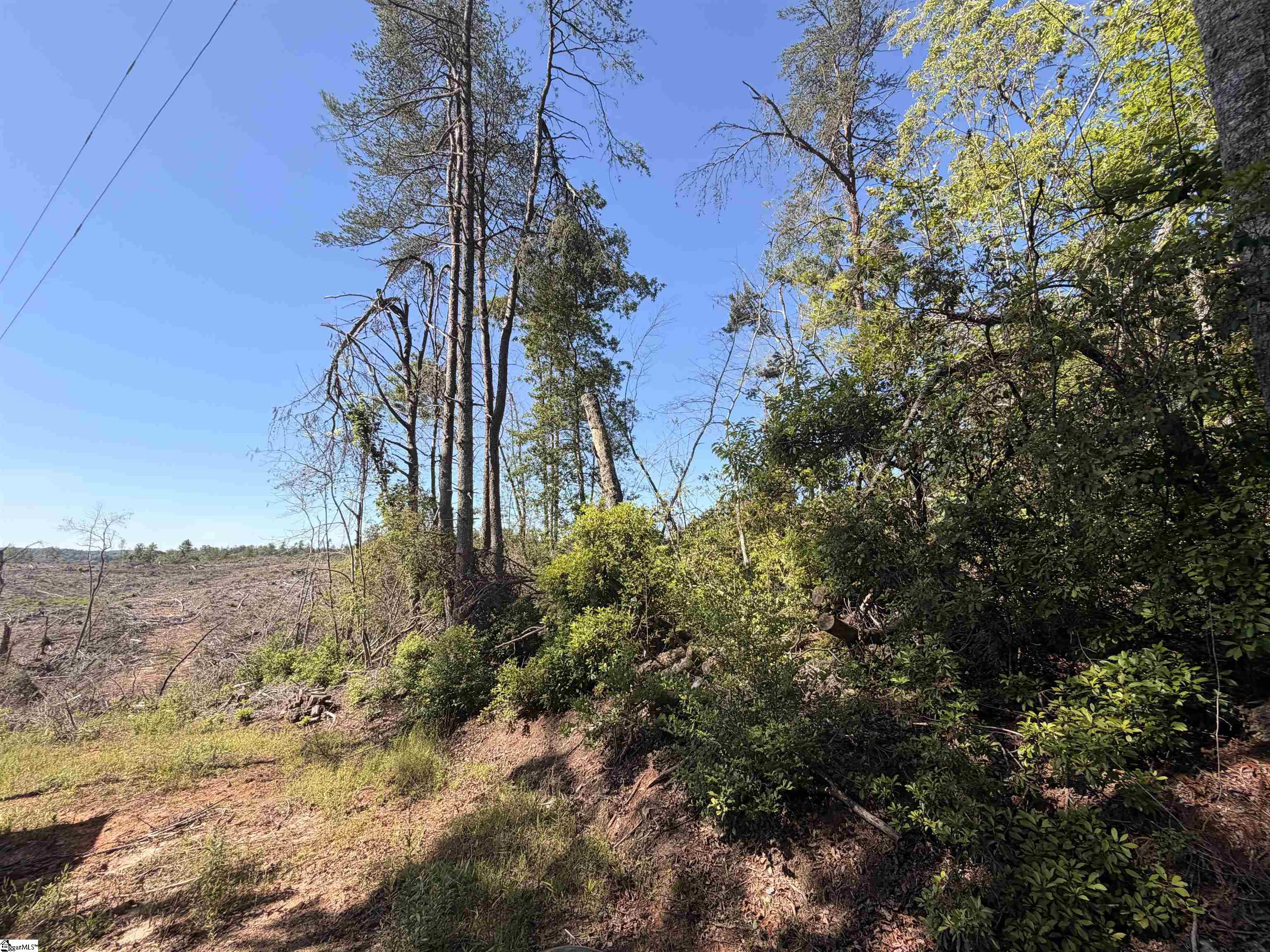 309 Knox Creek Road Property Photo 5