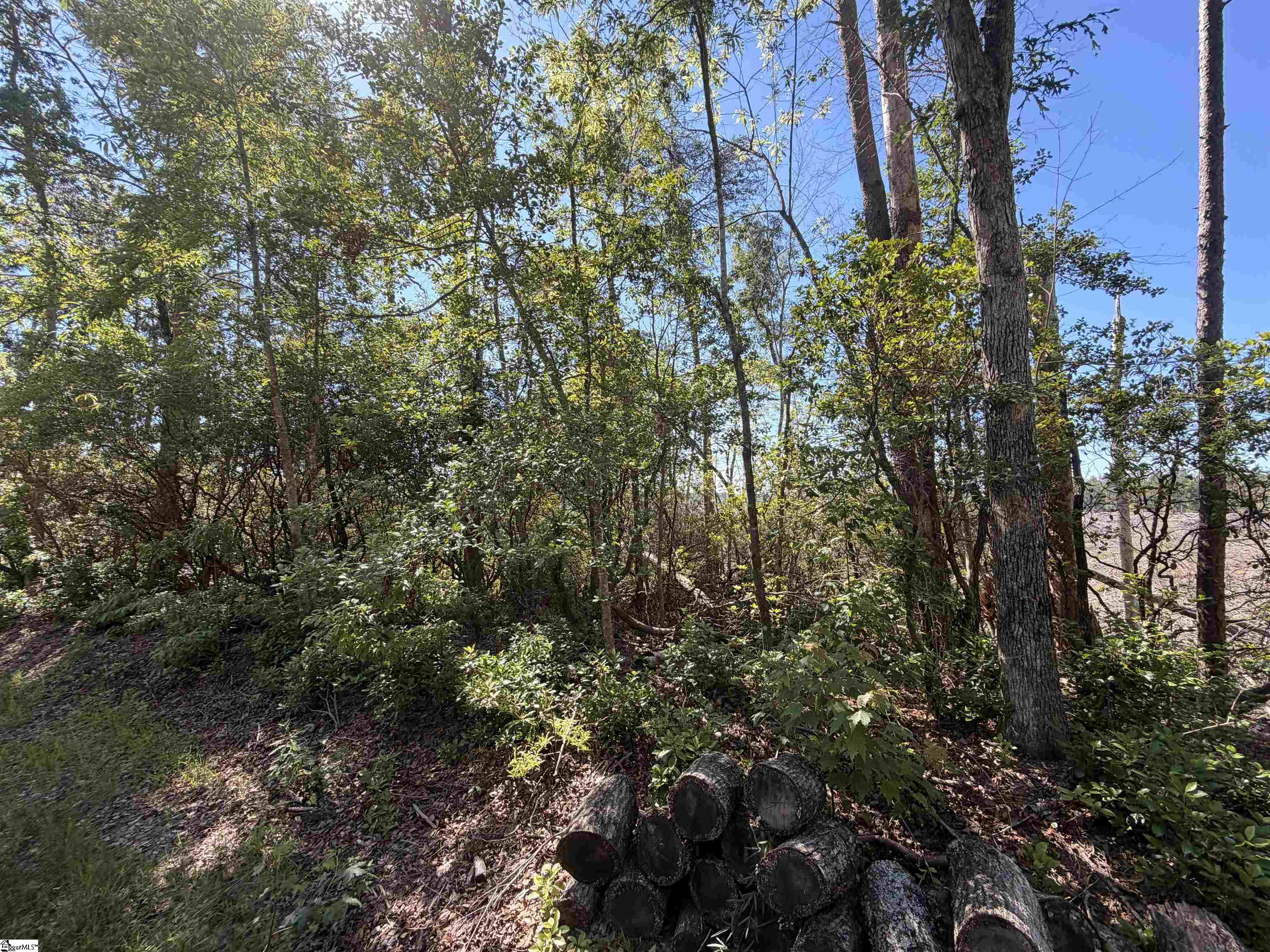 309 Knox Creek Road Property Photo 6