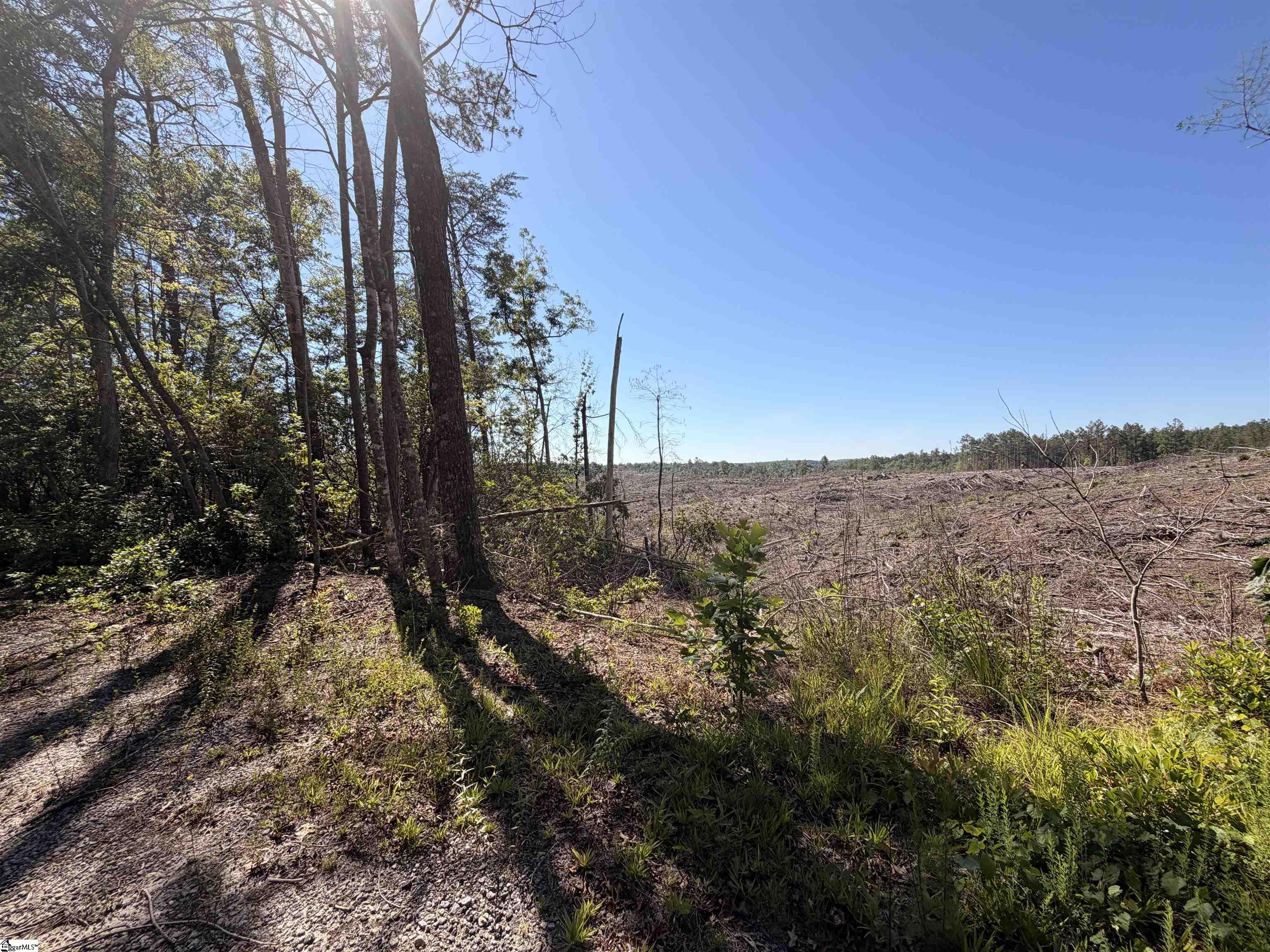 309 Knox Creek Road Property Photo 9
