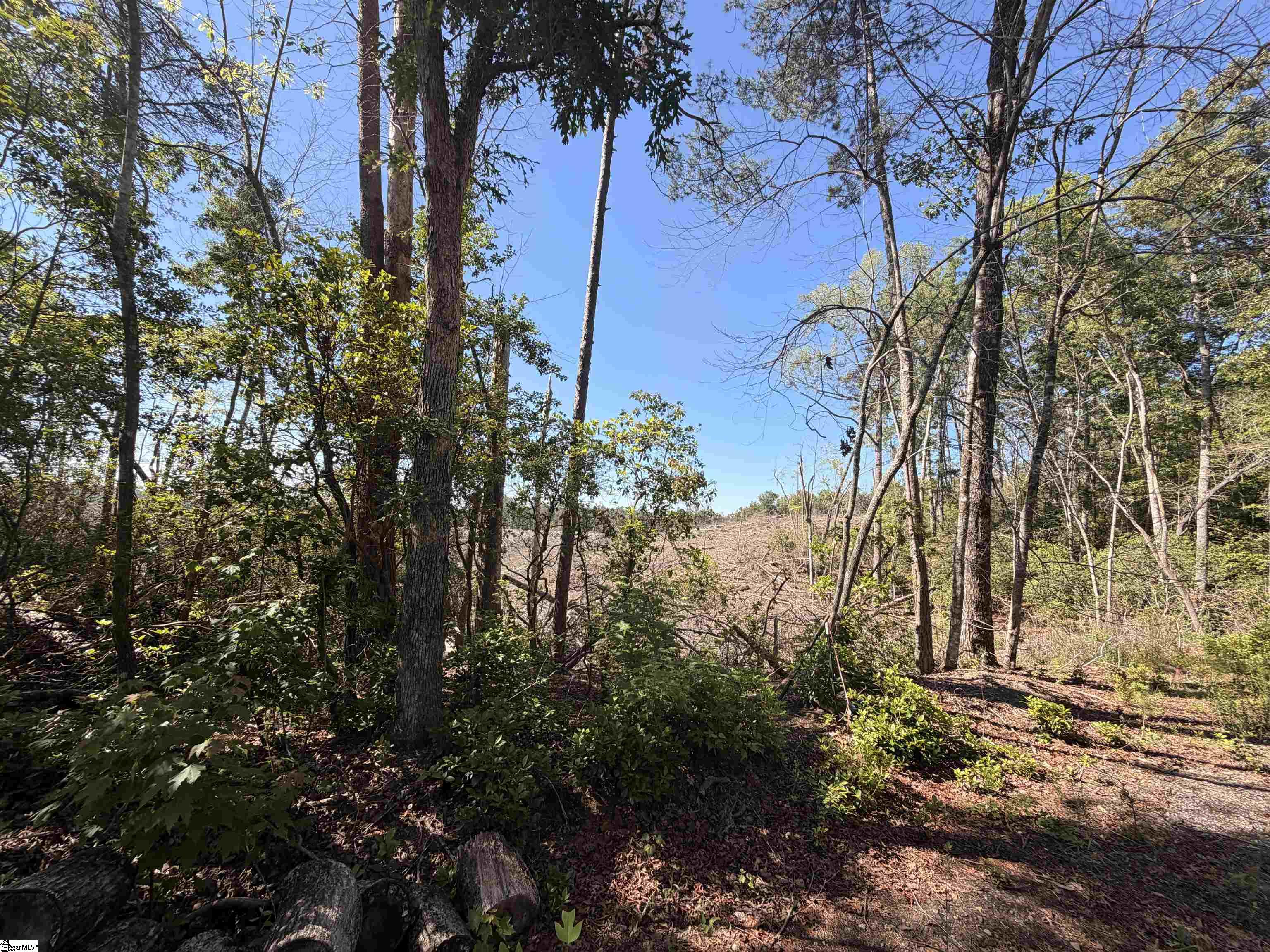 309 Knox Creek Road Property Photo 10
