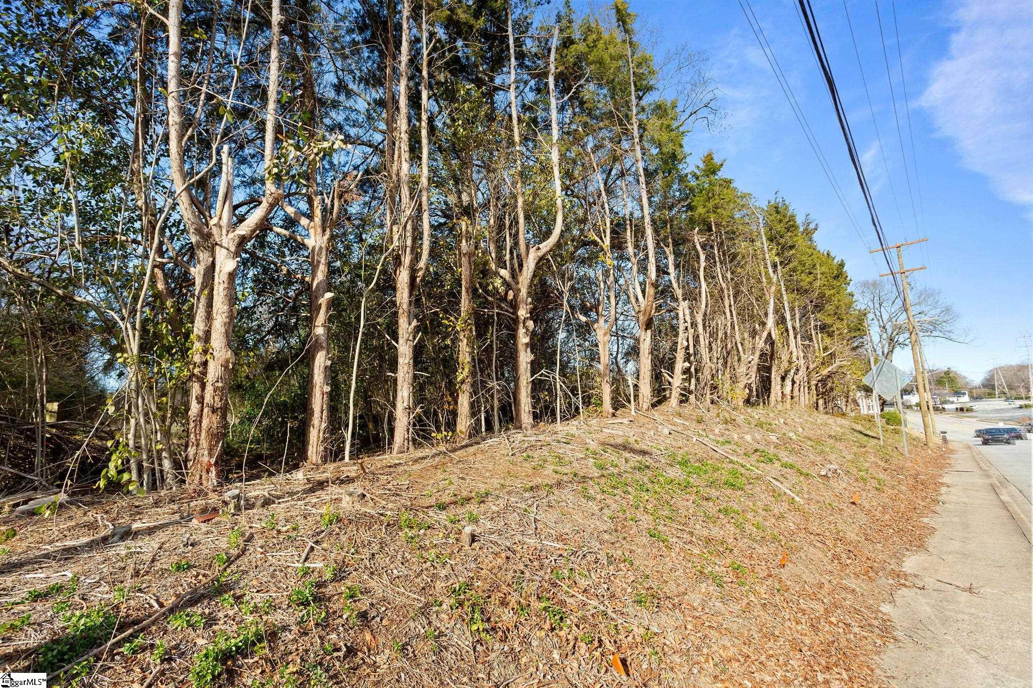 1019 Rutherford Road Property Photo 24