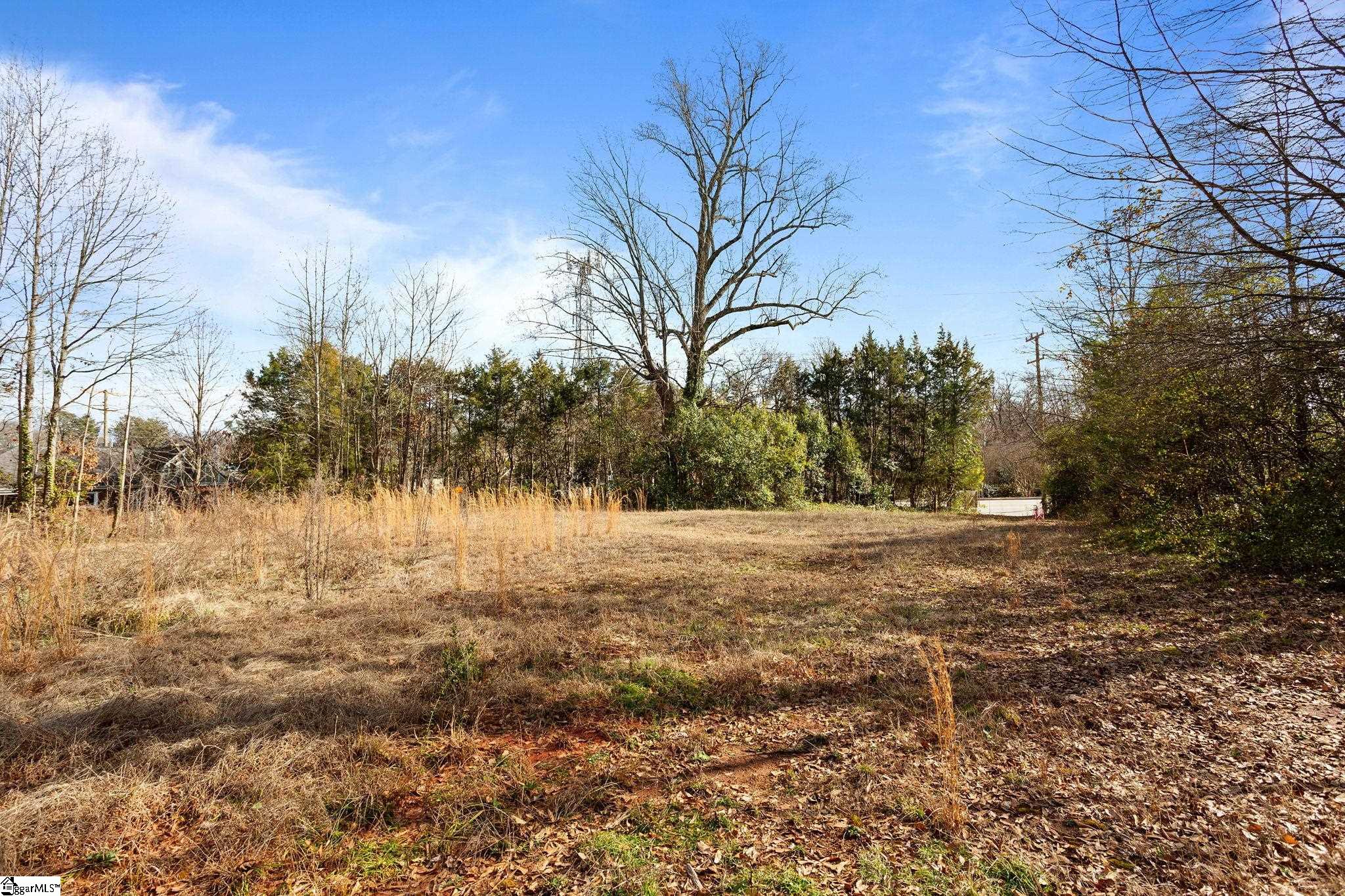 1019 Rutherford Road Property Photo 29