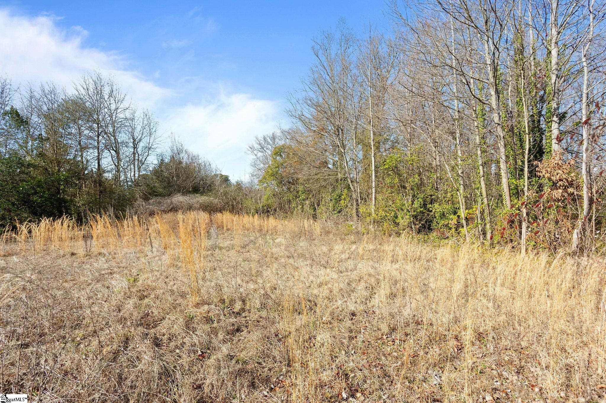 1019 Rutherford Road Property Photo 32