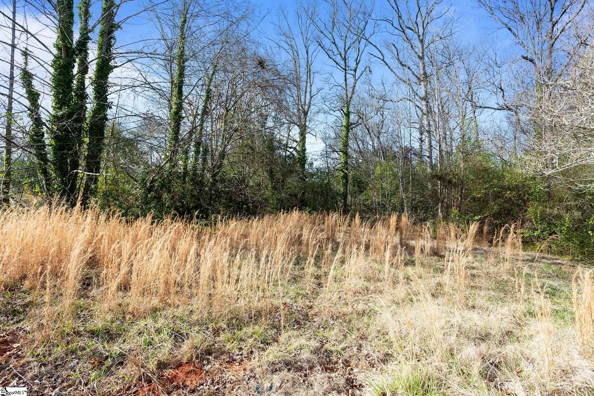 1019 Rutherford Road Property Photo 37