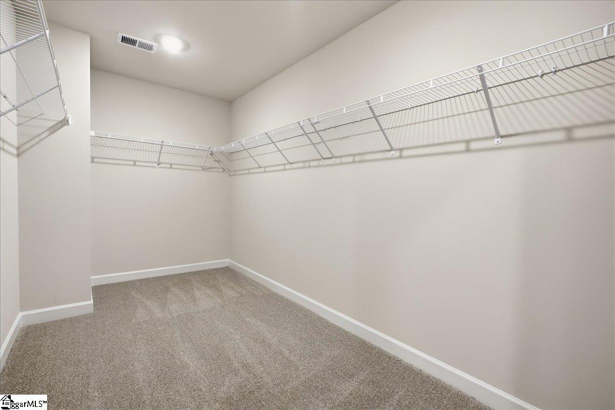 910 Rising Oak Court Property Photo 21