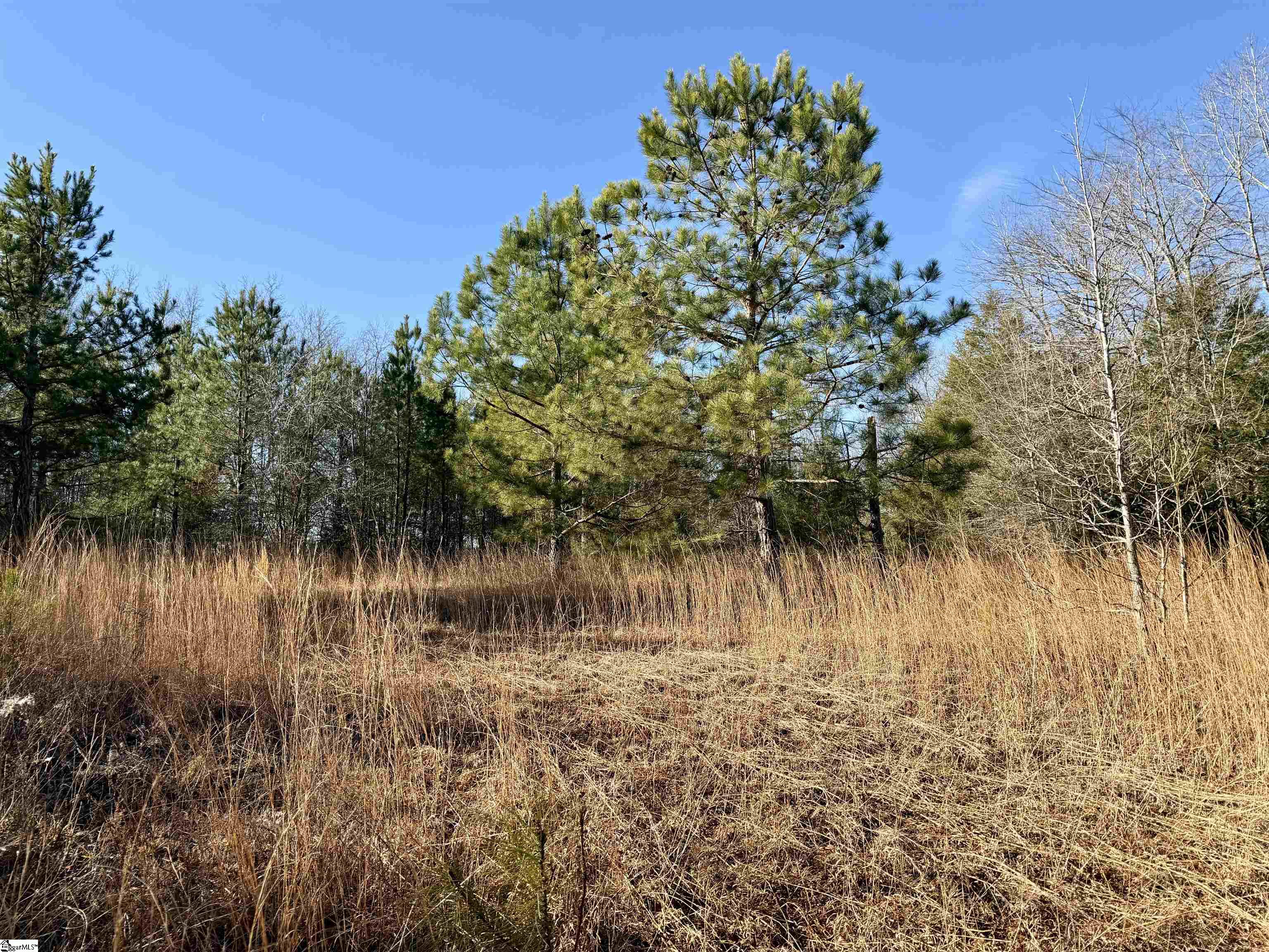 00 Neely Ferry Road Property Photo 3