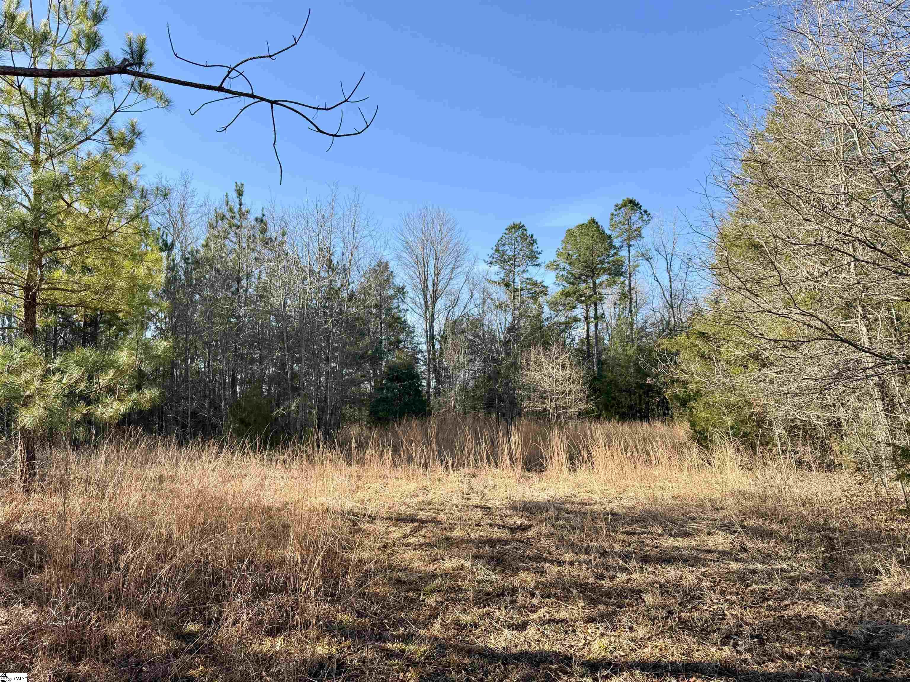 00 Neely Ferry Road Property Photo 8