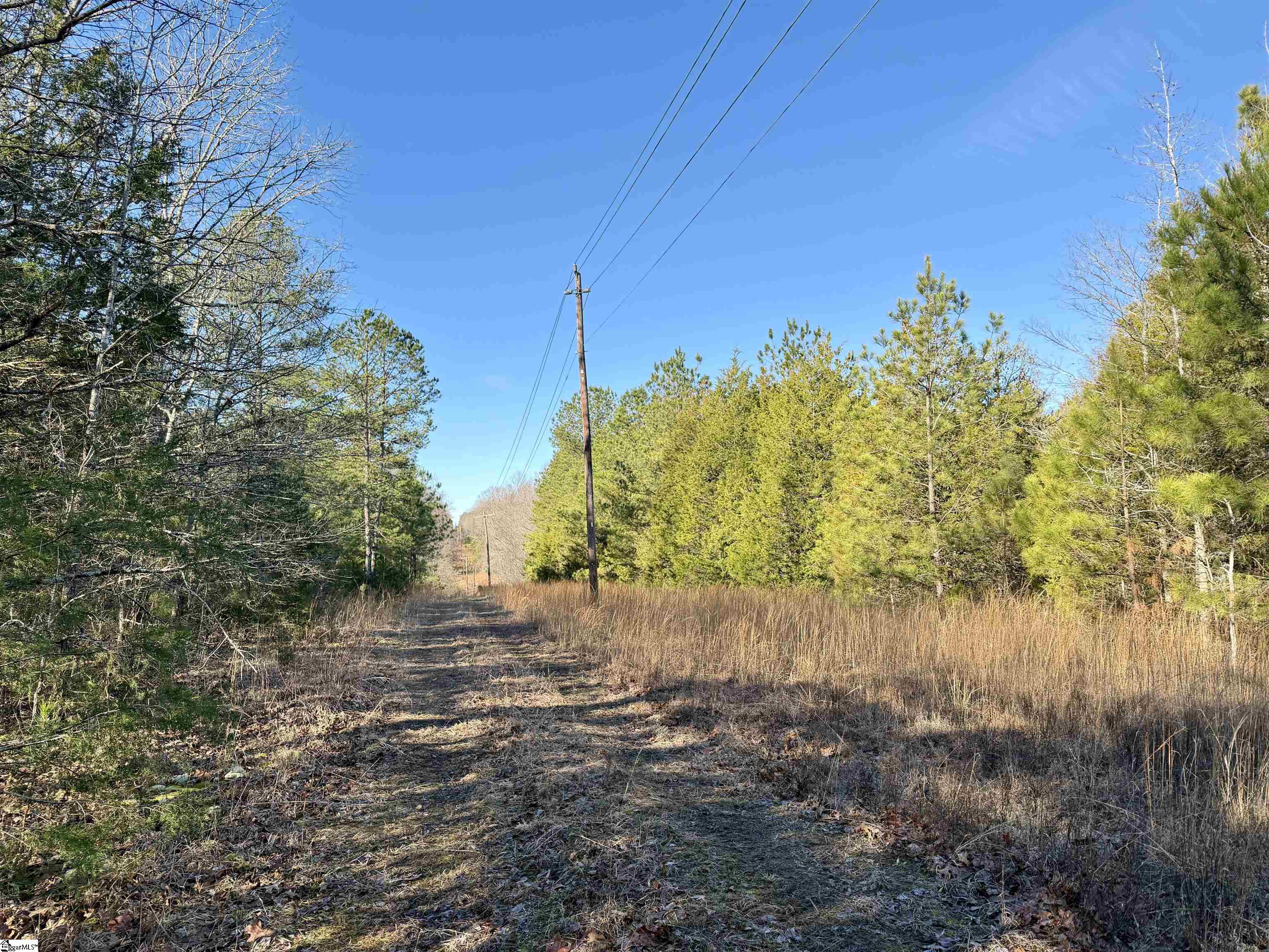 00 Neely Ferry Road Property Photo 11