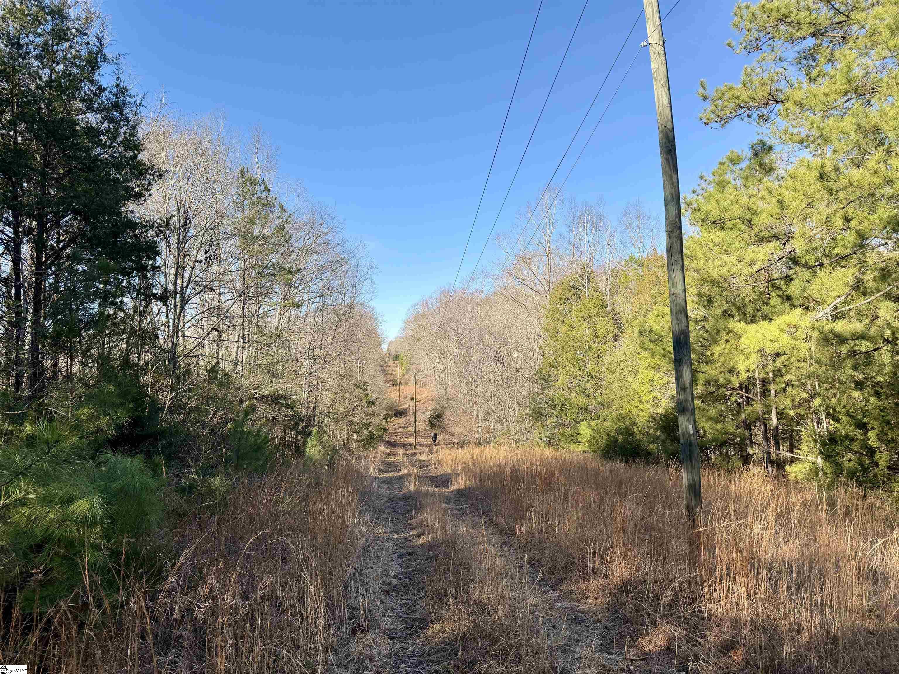 00 Neely Ferry Road Property Photo 12
