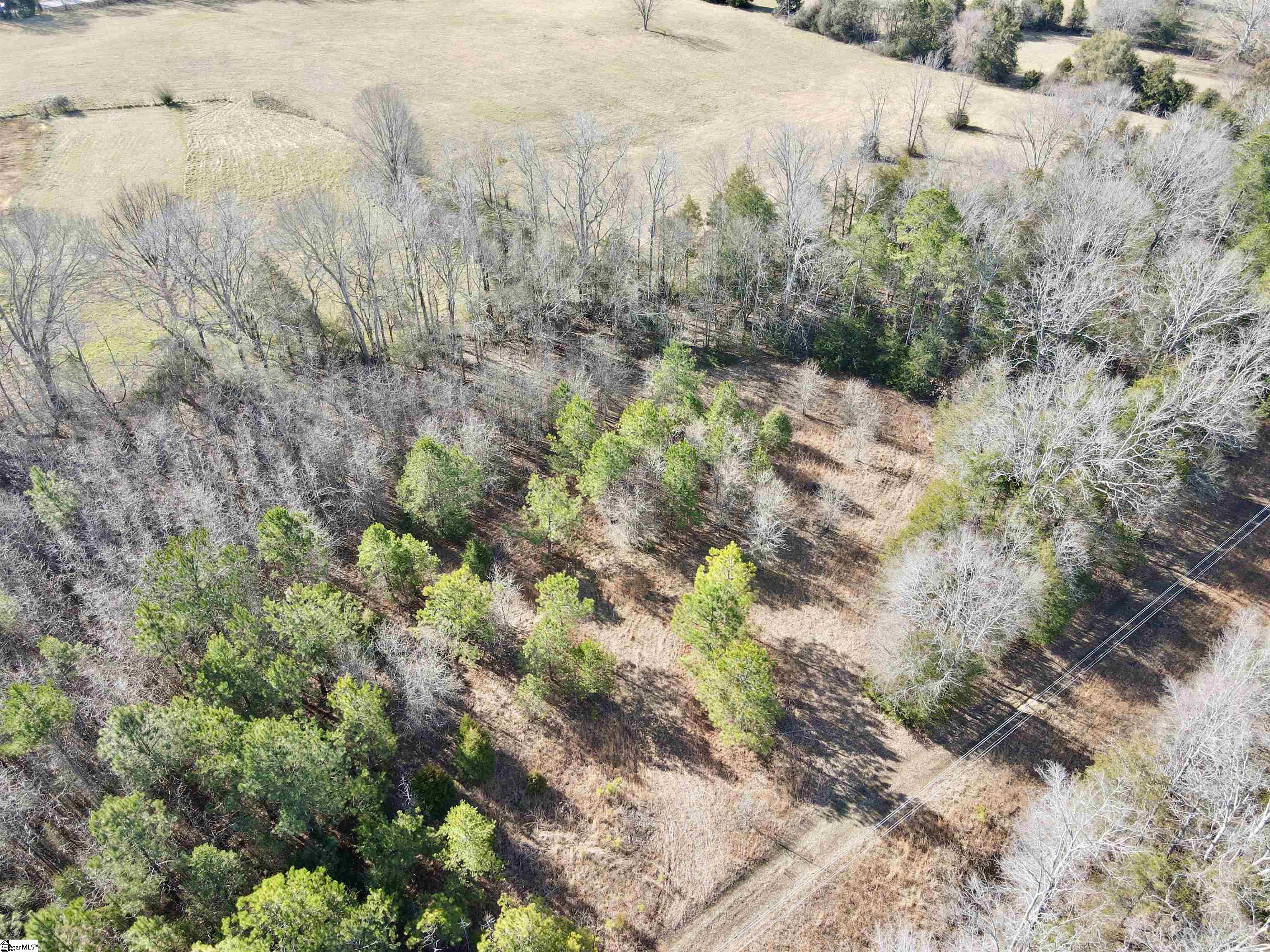 00 Neely Ferry Road Property Photo 13