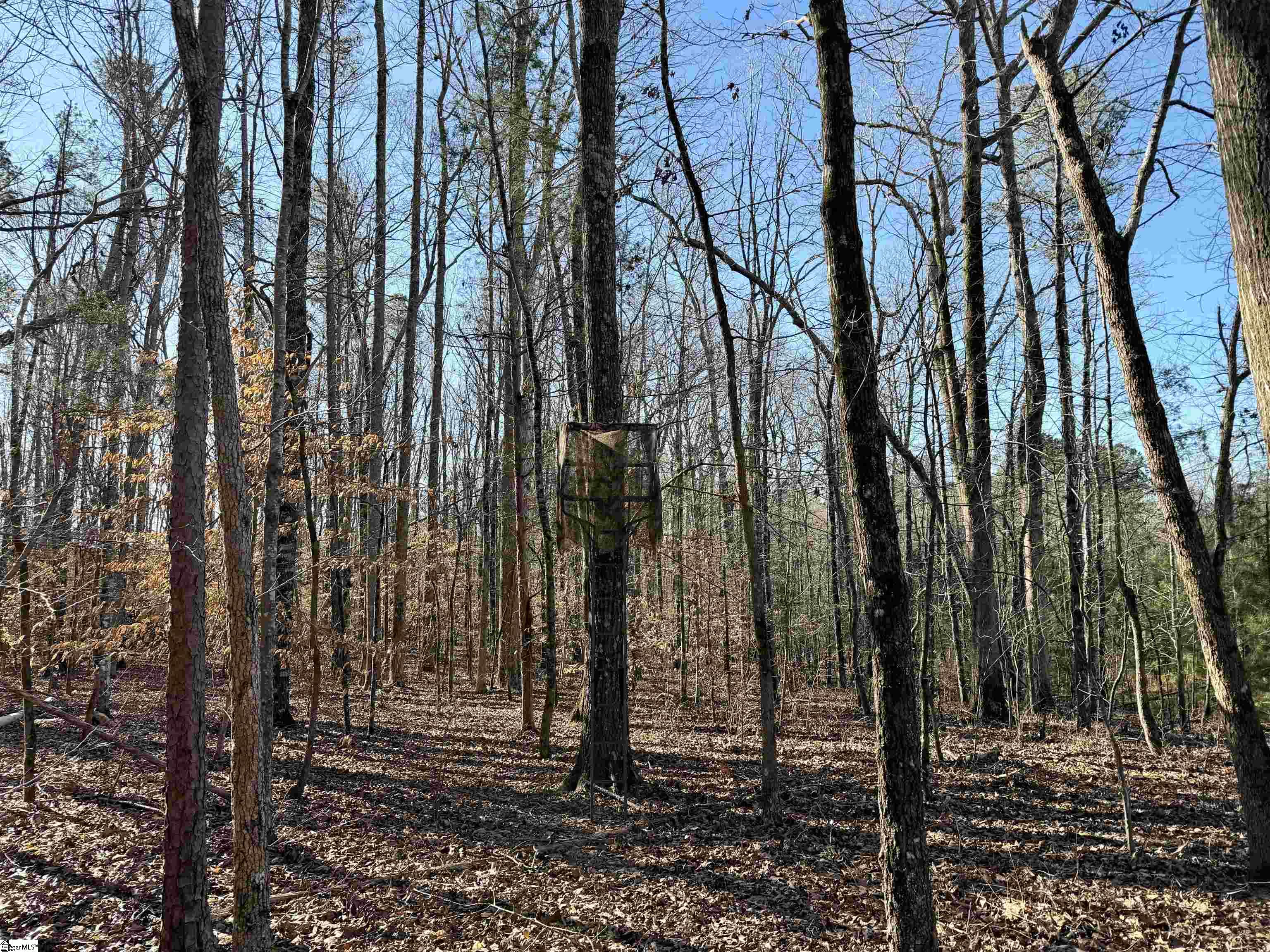 00 Neely Ferry Road Property Photo 14