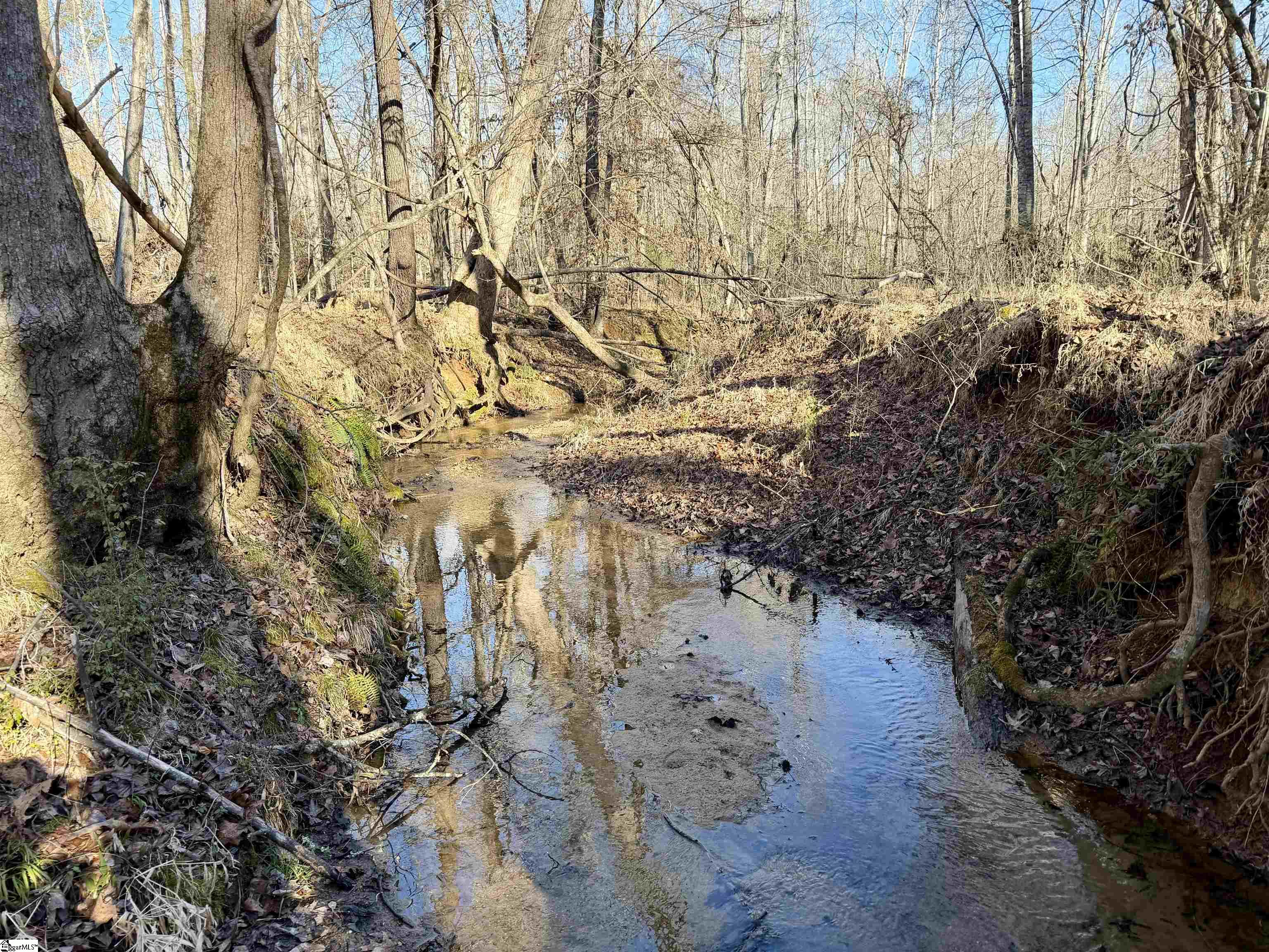 00 Neely Ferry Road Property Photo 16