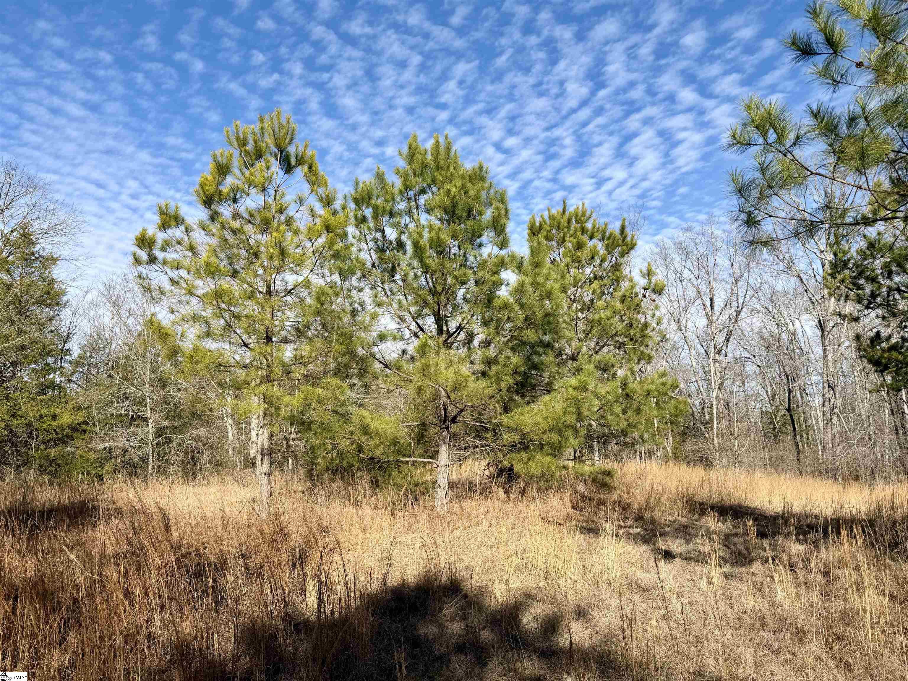 00 Neely Ferry Road Property Photo 17