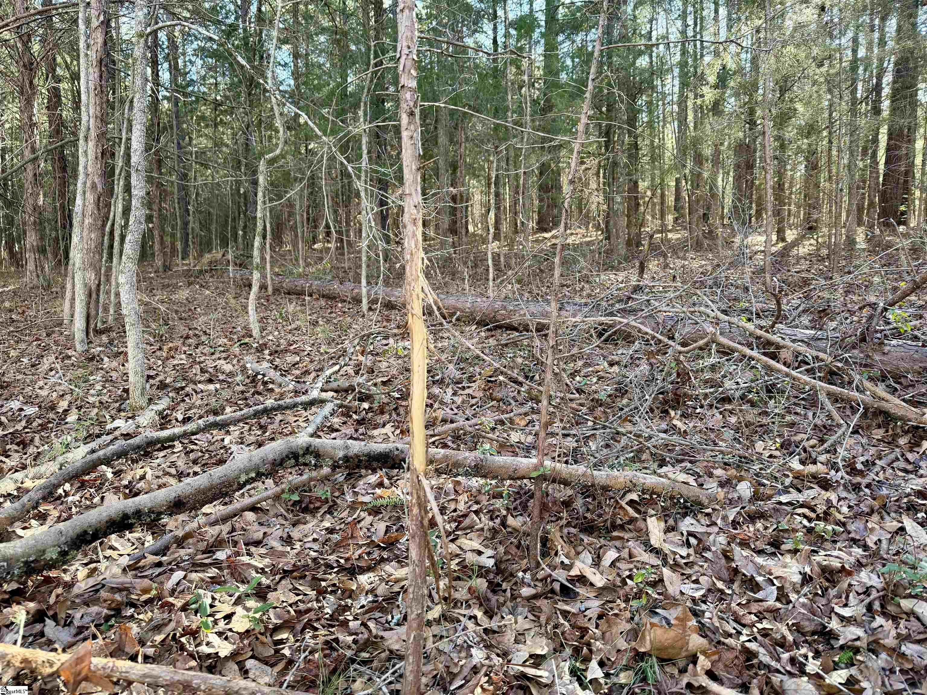 00 Neely Ferry Road Property Photo 18