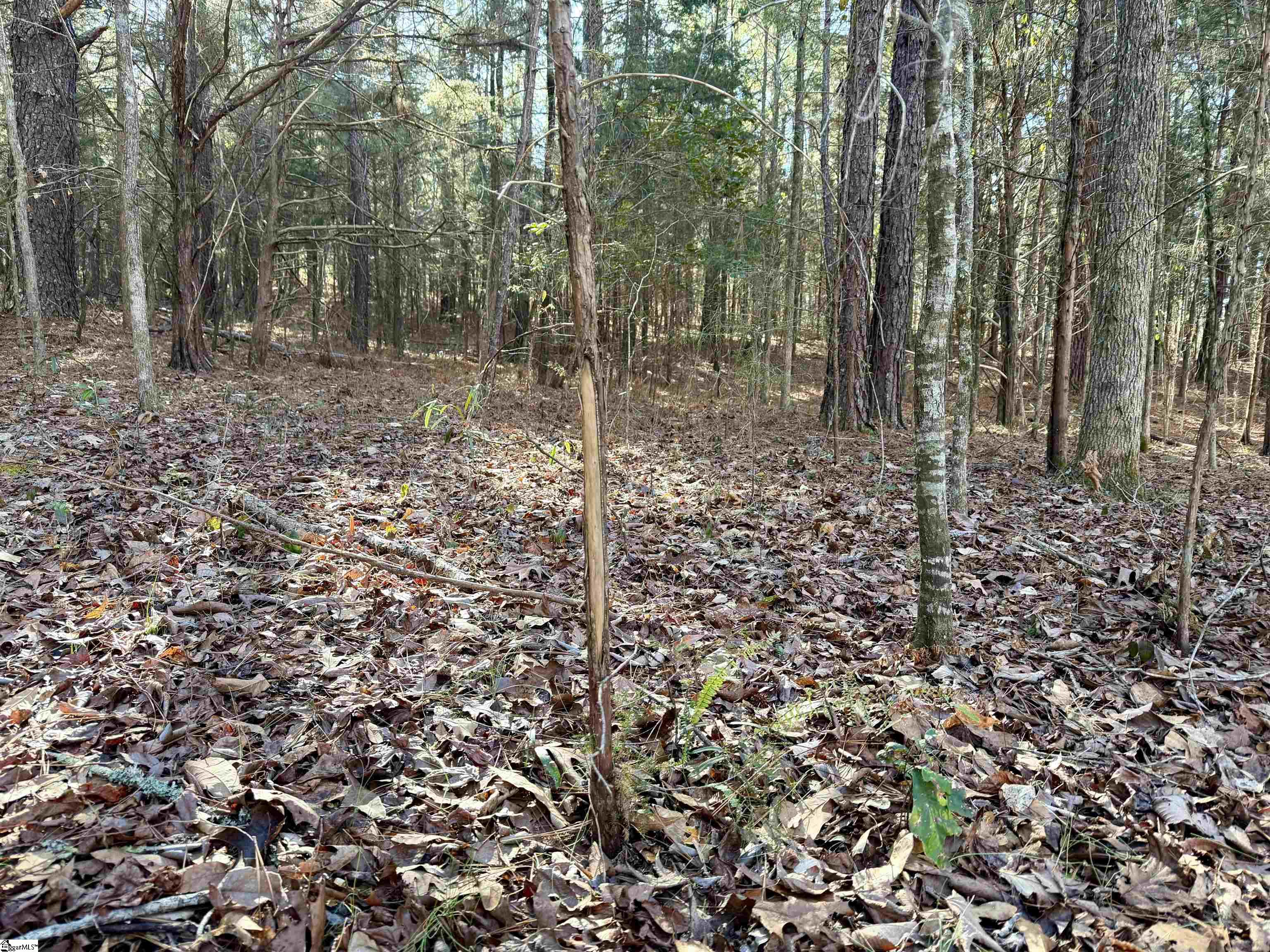 00 Neely Ferry Road Property Photo 19